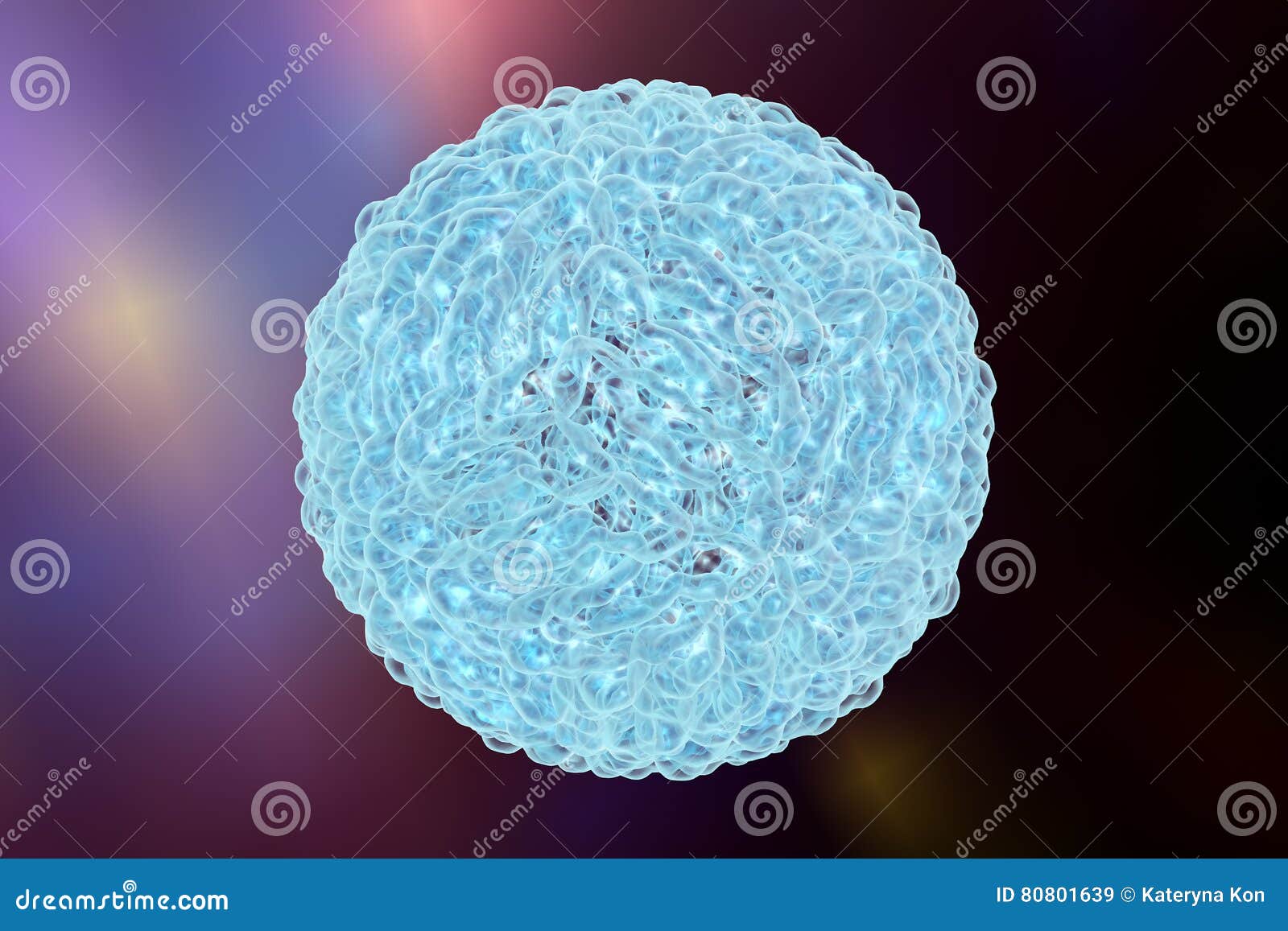 dengue virus which causes yellow fever