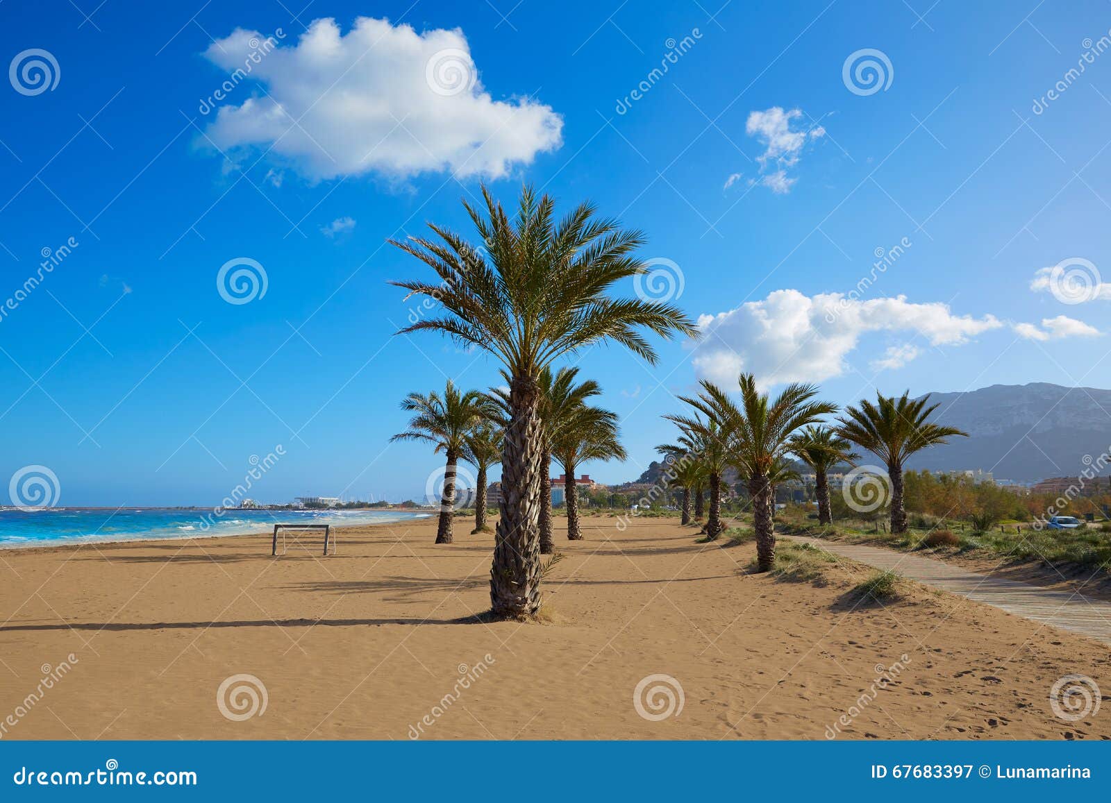 denia beach las marinas with palm trees alicante