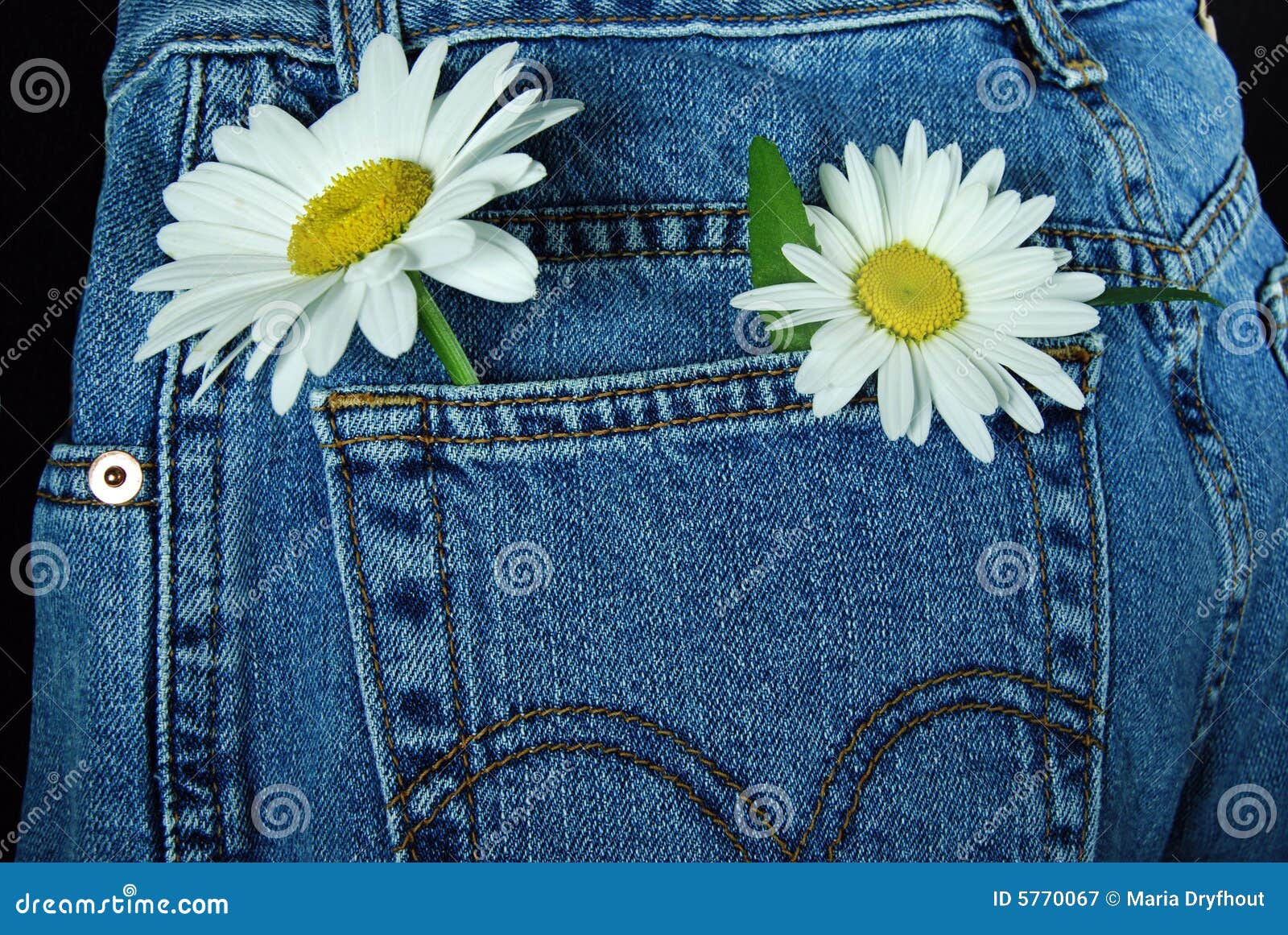 Denim Daisies stock image. Image of loop, daisy, casual 5770067