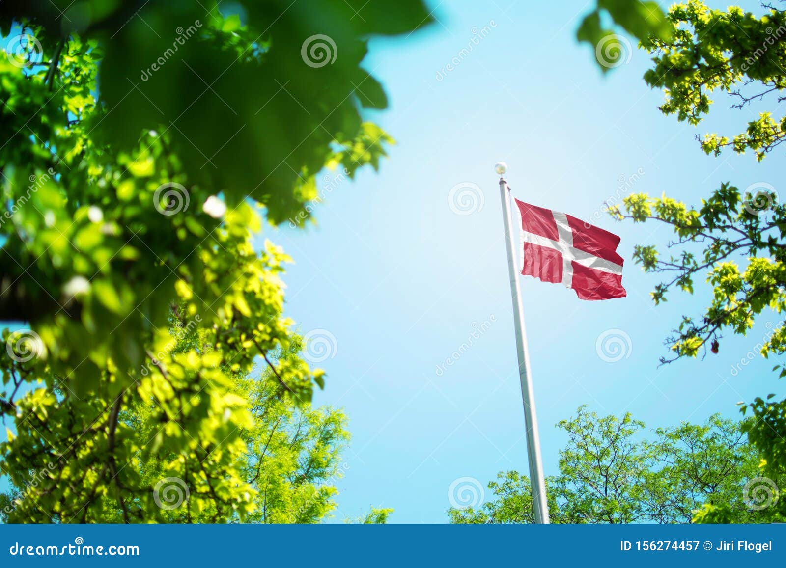 denmark flag, danish flag waving in the wind between trees