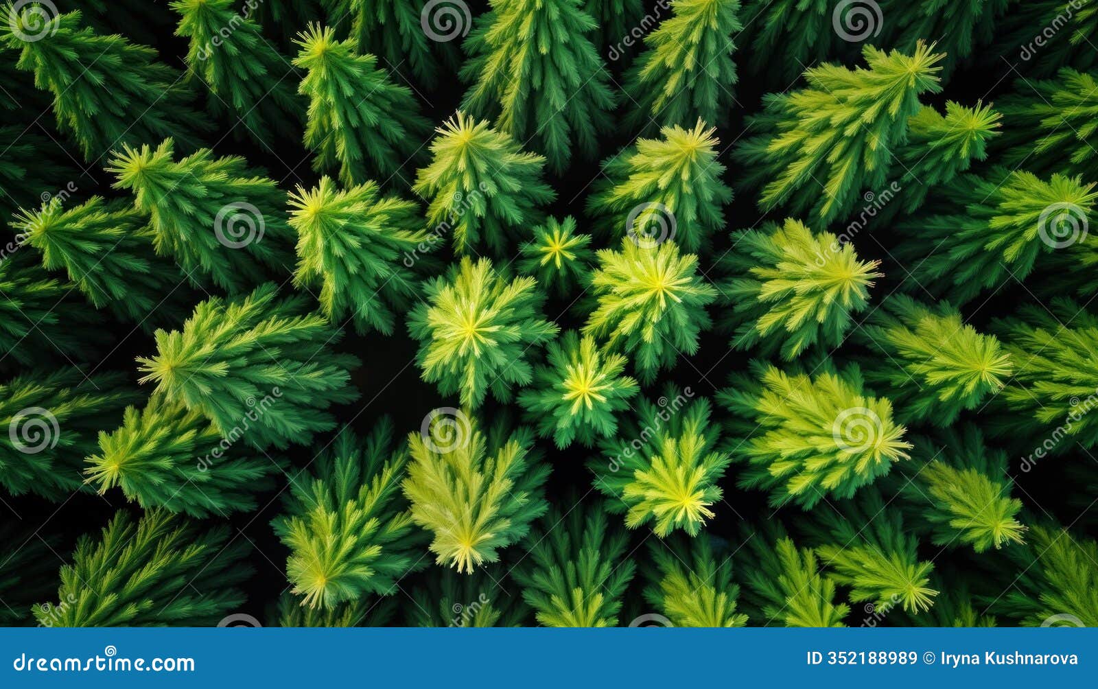 dense green forest canopy seen from above. aerial view of rich trees. vibrant green foliage pattern. nature background with