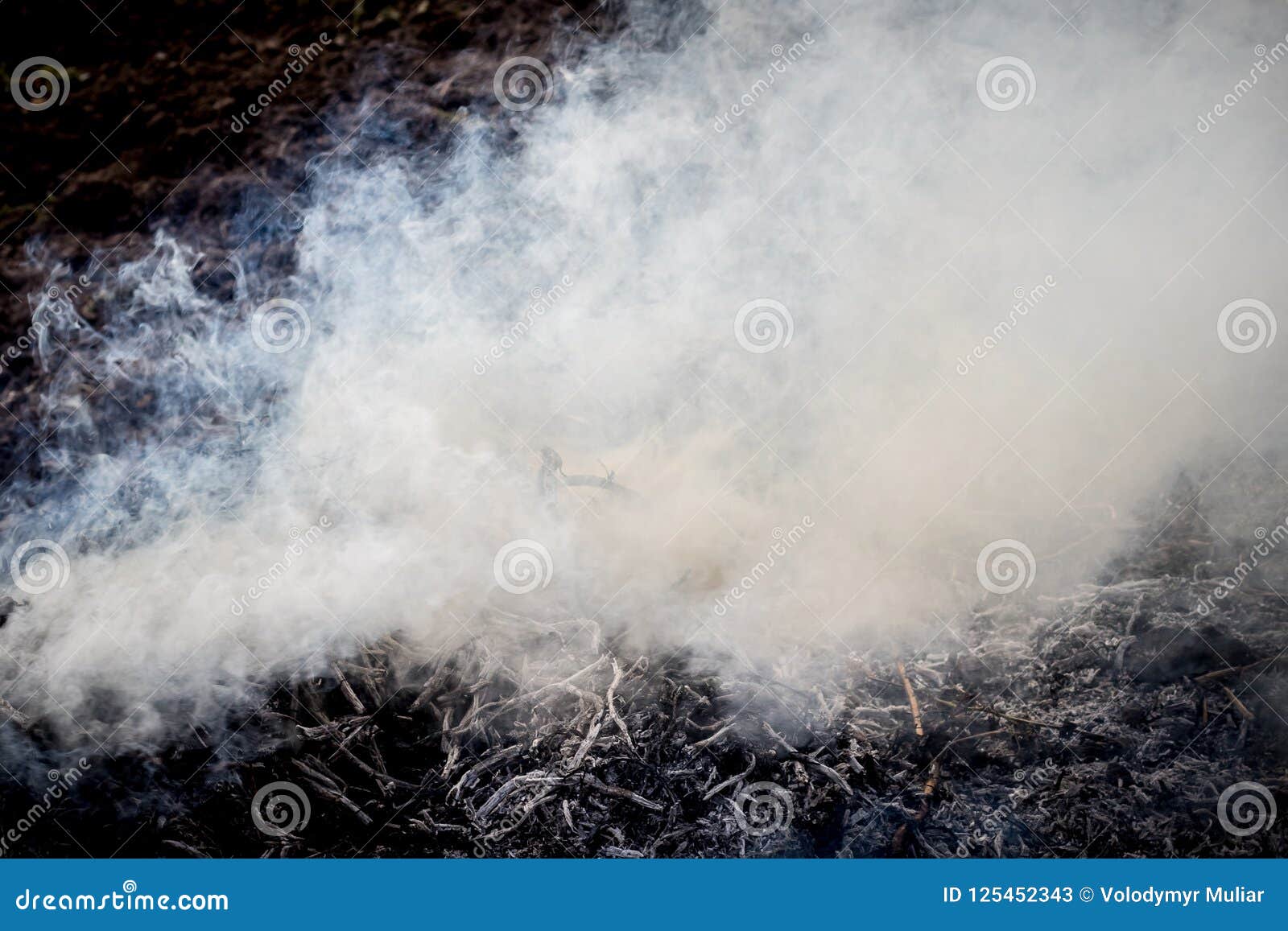 Dense Smoke from the Fire. Pollution of the Environment_ Stock Image