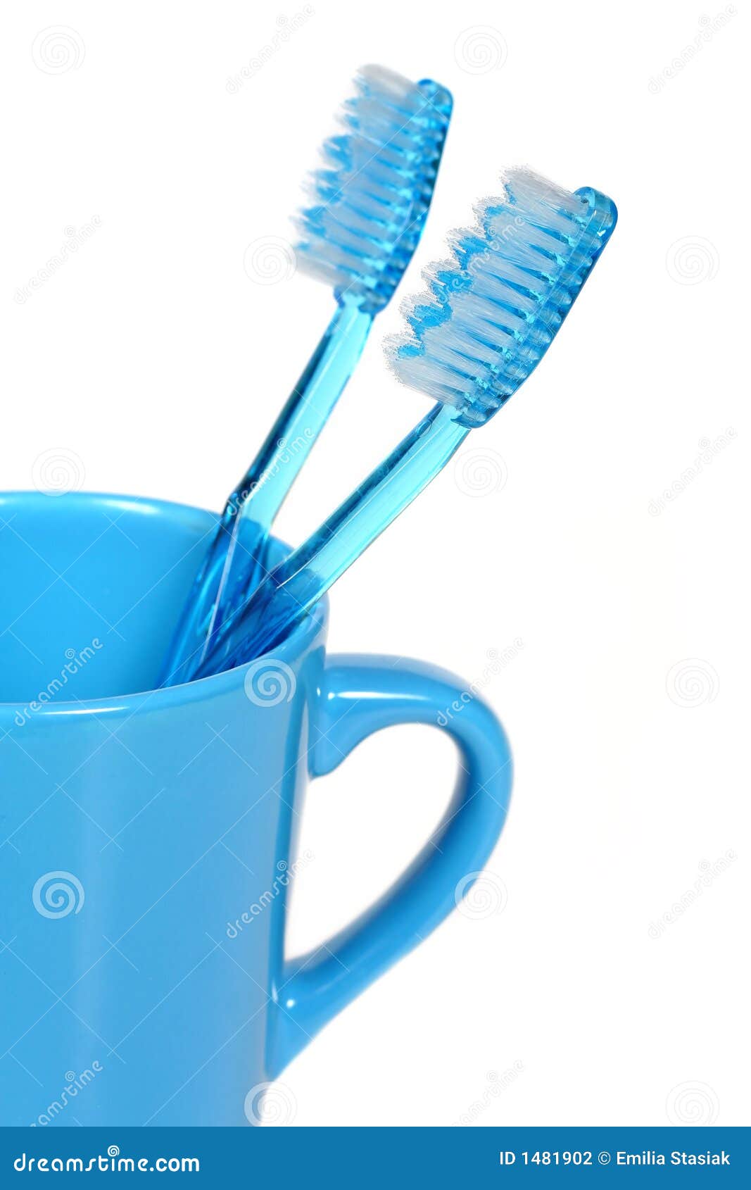 Dental care stock photo. Image of oral, teeth, protection 1481902