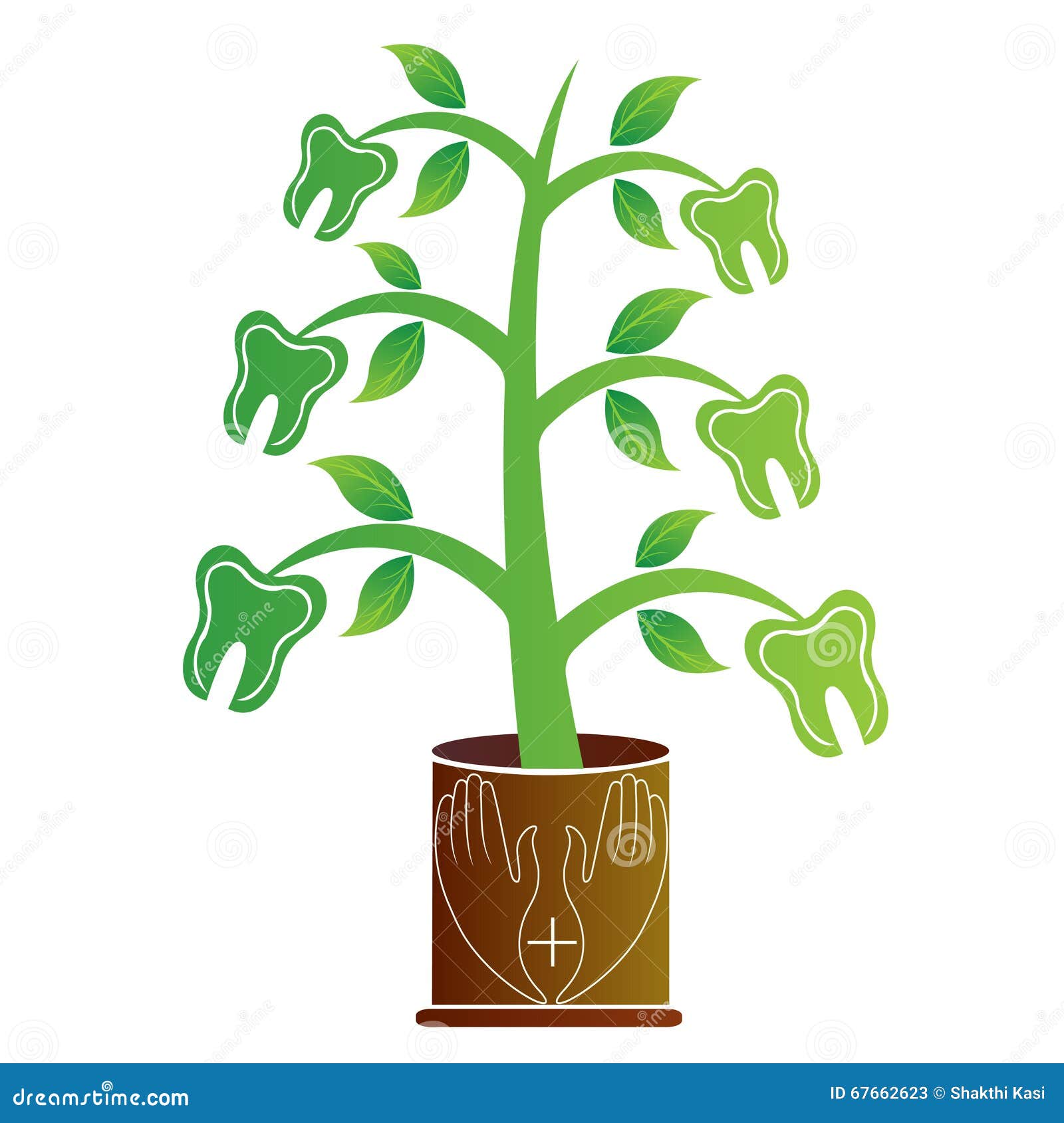 Dental care plant stock vector. Illustration of clean 67662623
