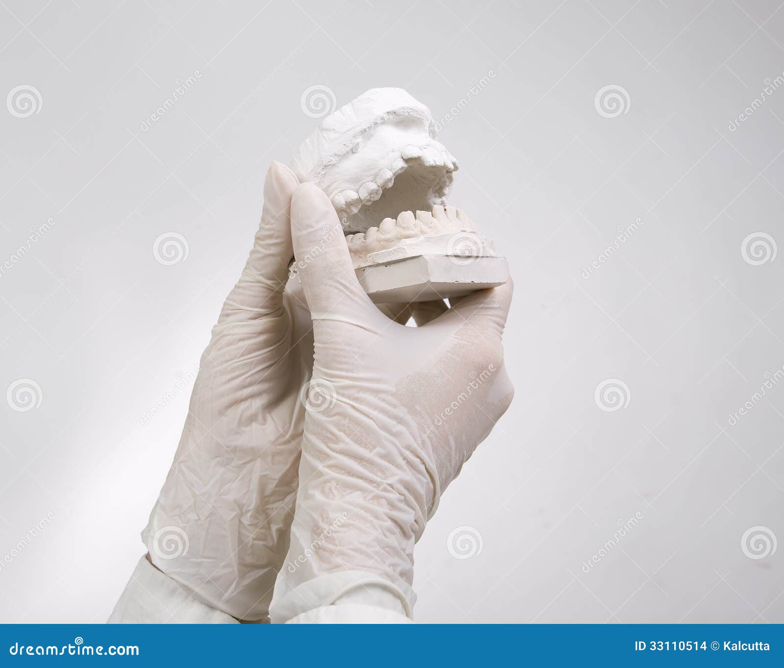 Dental Casting Hands Holding Dental Gypsum Models Stock Photo Image
