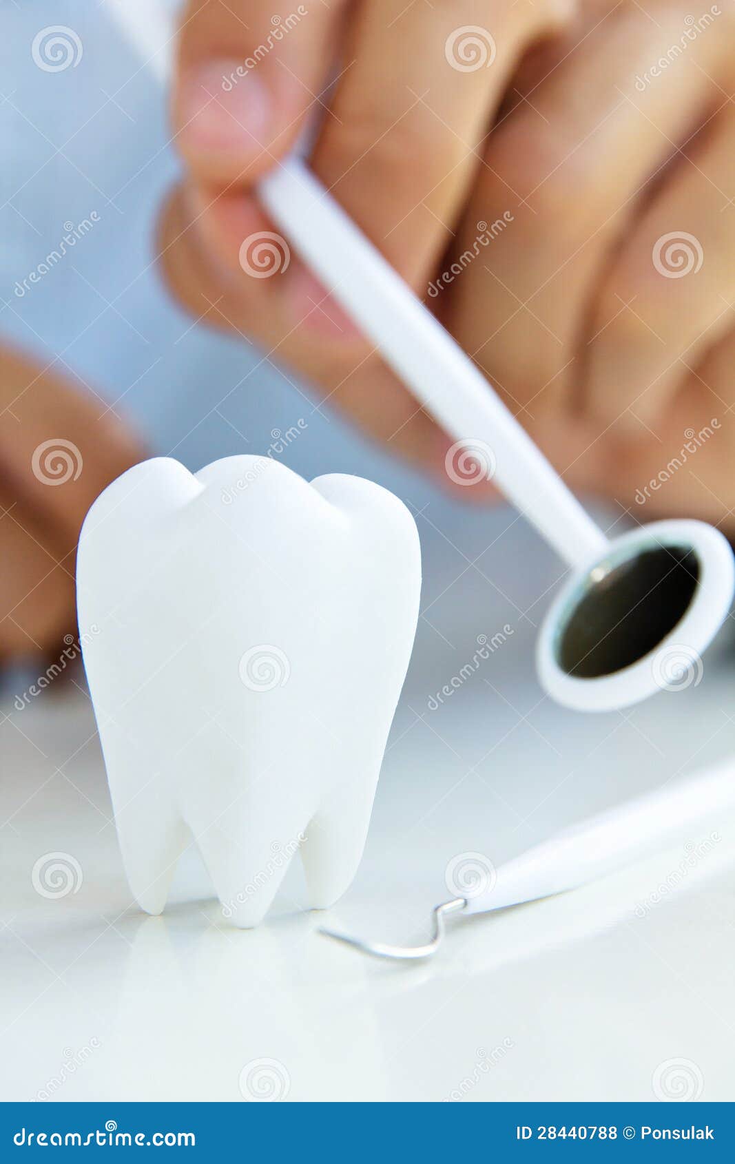 Dental concept stock photo. Image of white, dentist, showing 28440788
