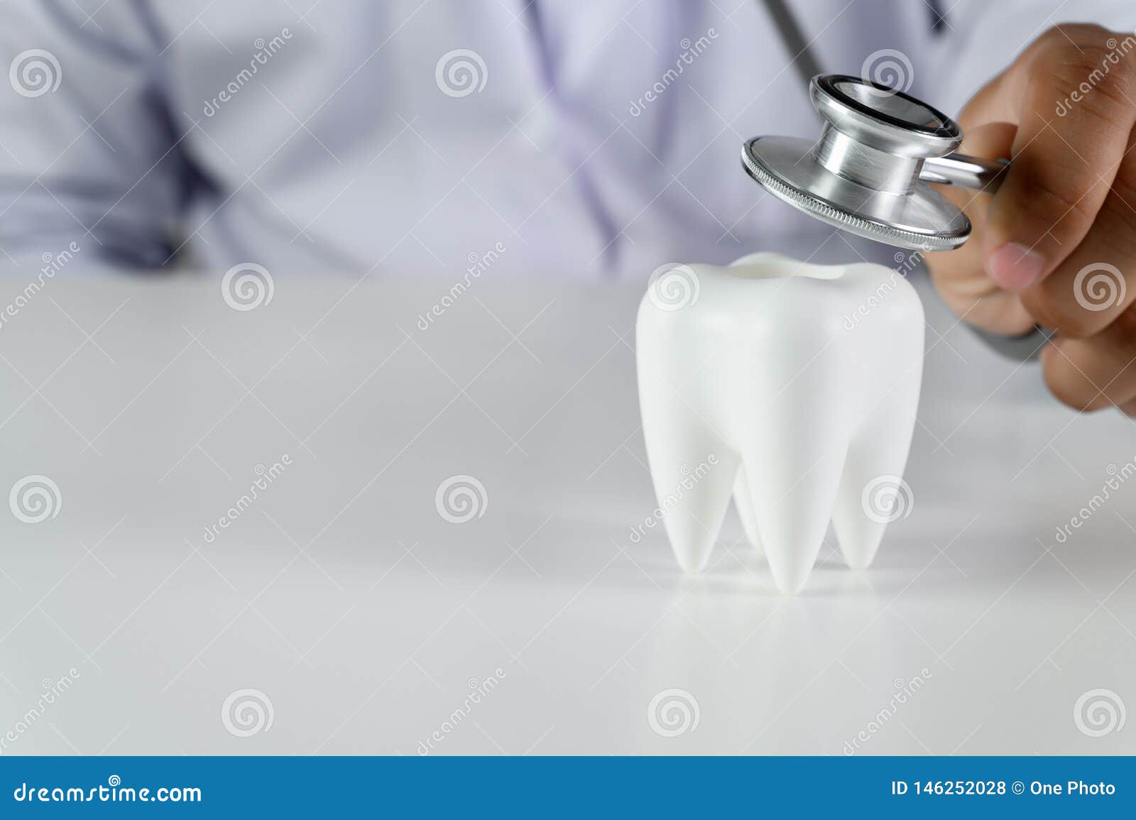 Dental Concept Dental Model and Dental Equipment Dental Hygiene Dentist