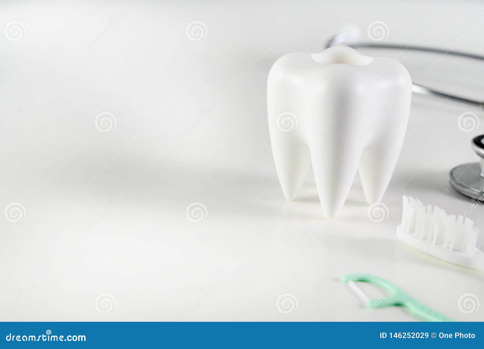 Dental Concept Dental Model and Dental Equipment Dental Hygiene Dentist