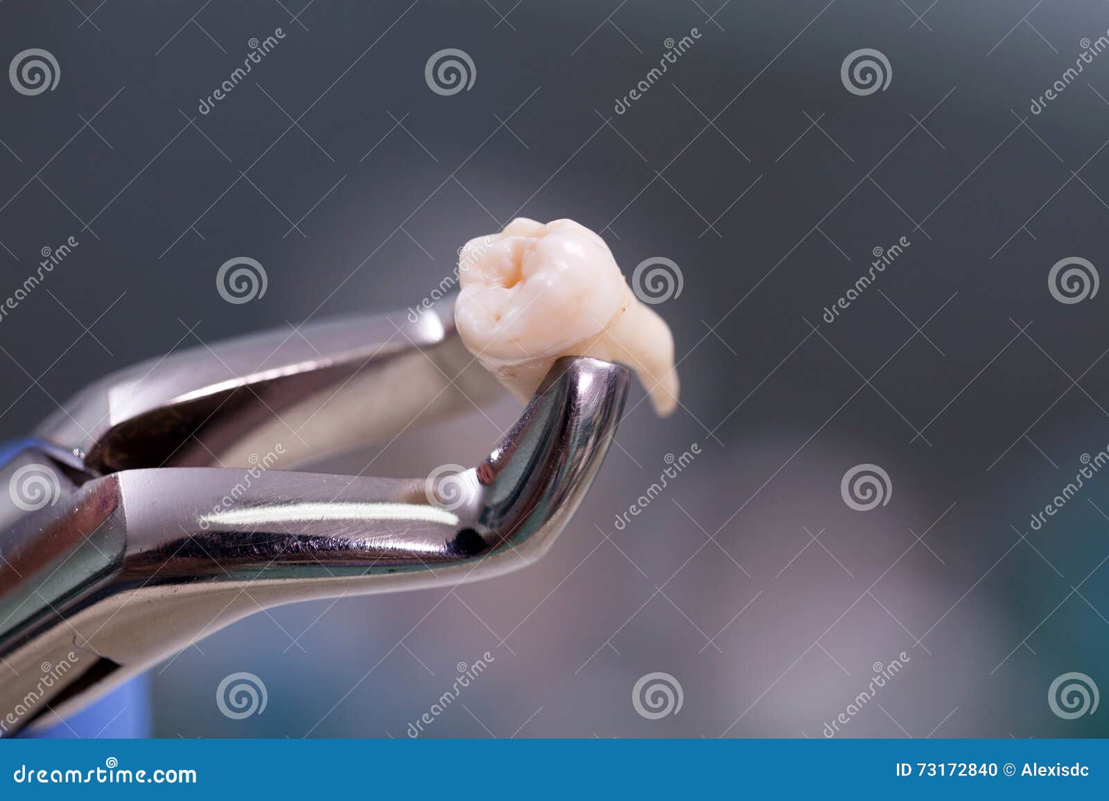 Dental Equipment,tooth Extraction Stock Photo Image of metal