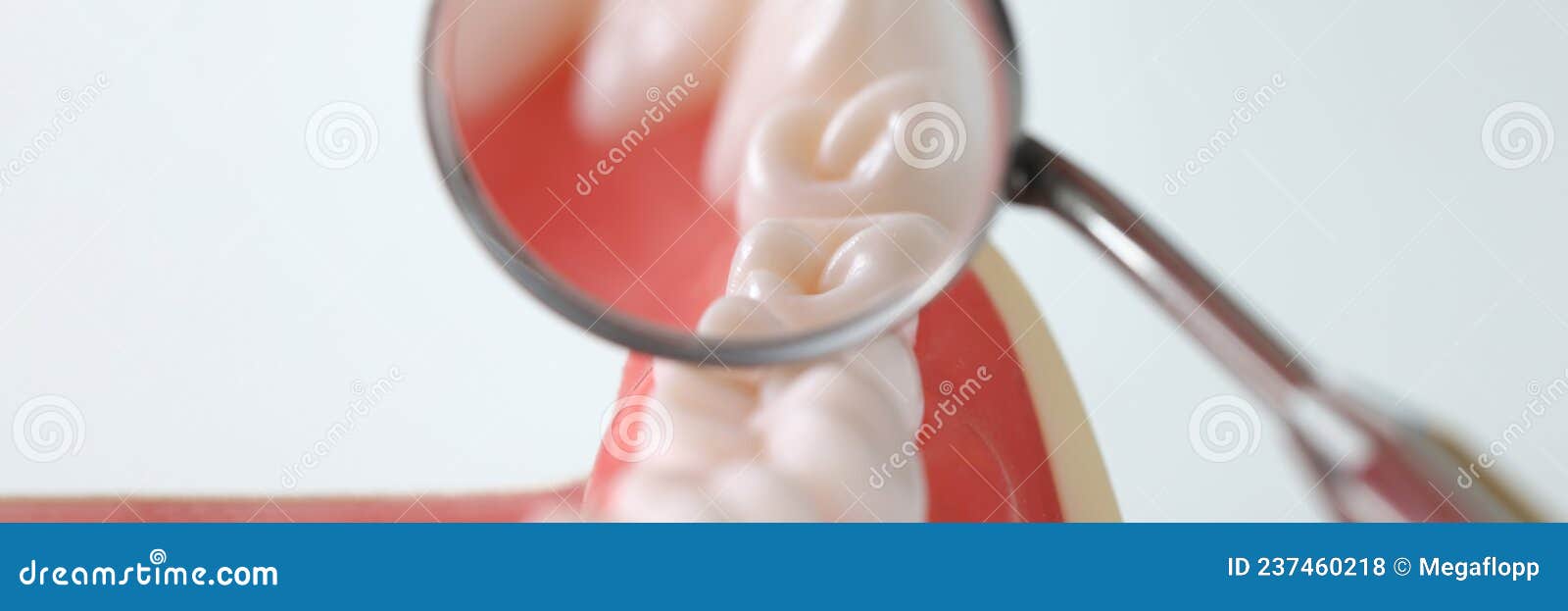 Dental Examination Mirror and Artificial Jaw Closeup Stock Photo
