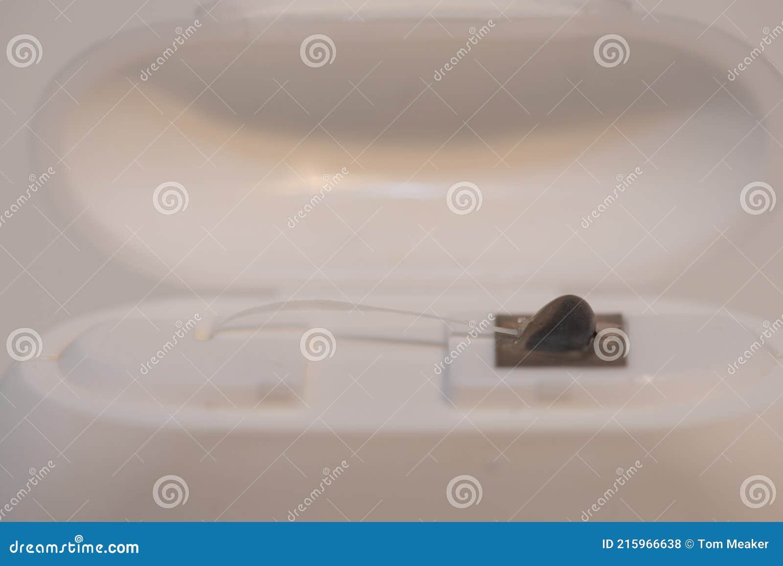 Dental floss stock photo. Image of hygeine, horizontal 215966638