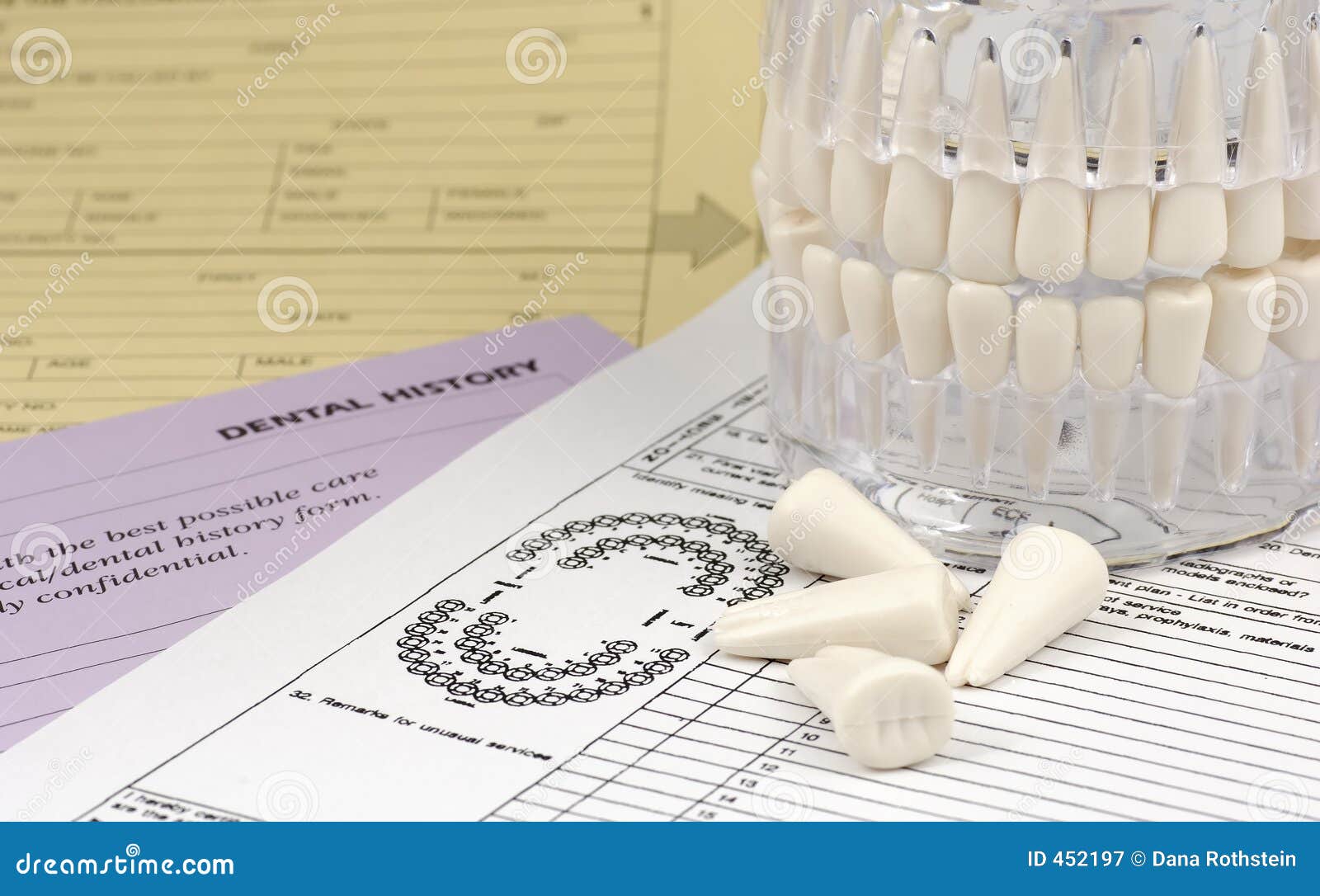 Dental Forms stock image. Image of gingivitis, health, orthodontal 452197