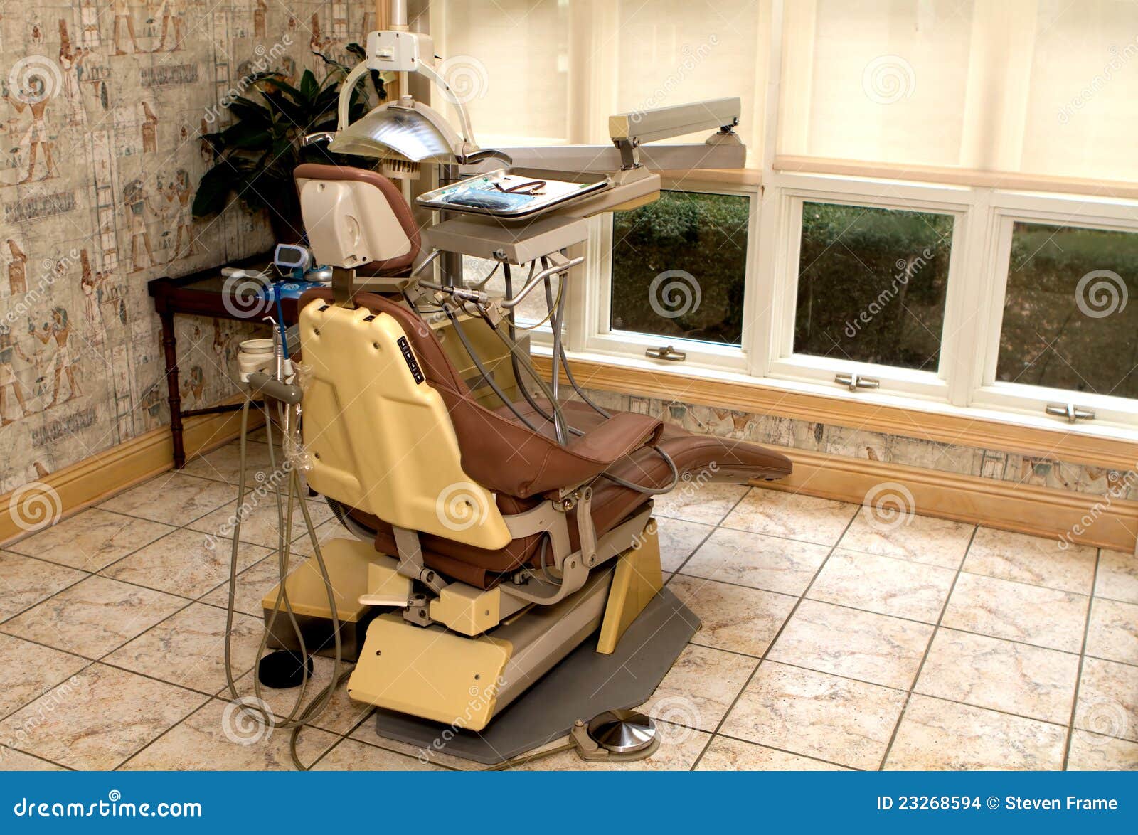 dental hygienist chair