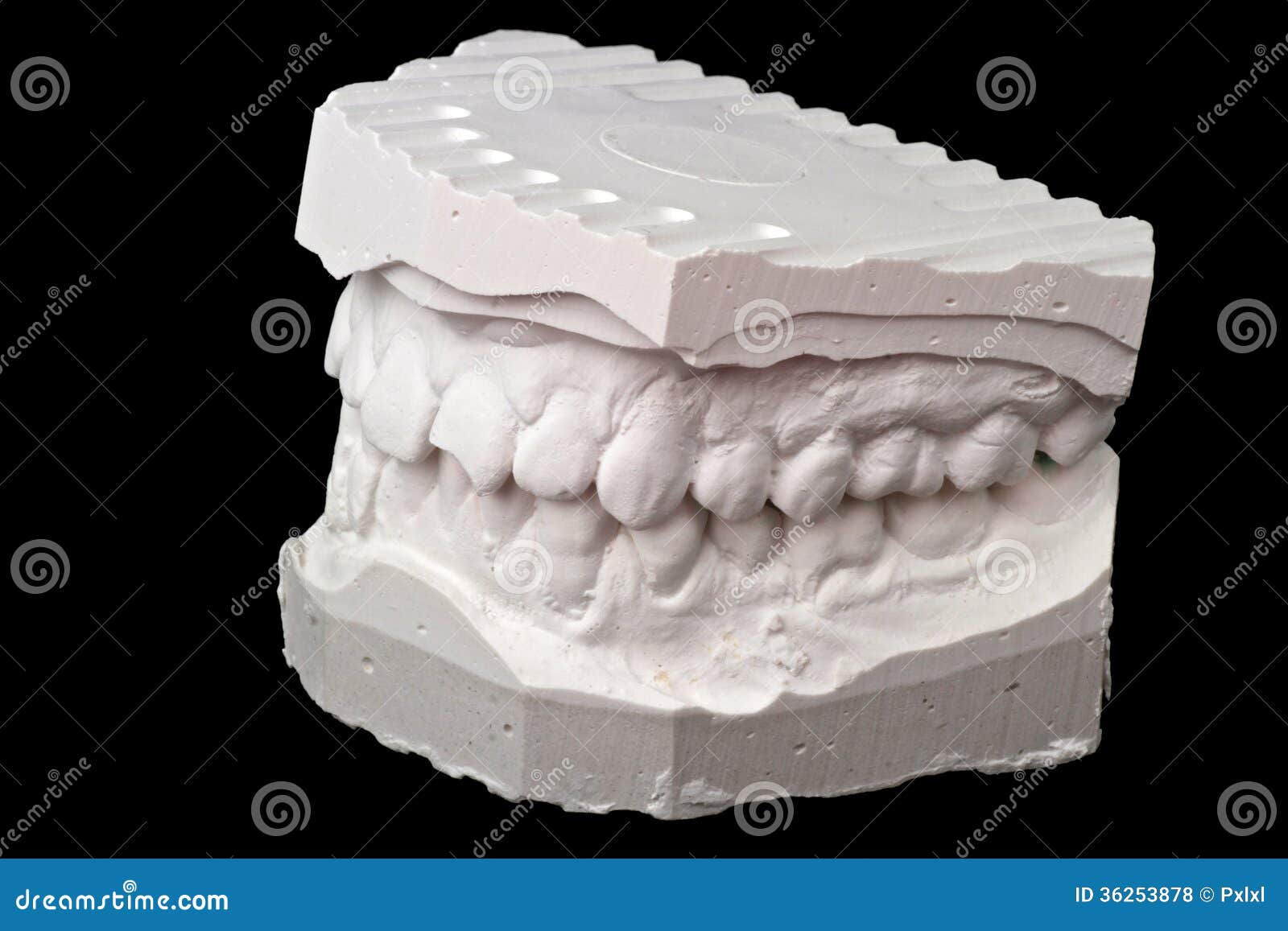 Dental Impression Chalk Model Stock Photo Image of fixed, hygiene