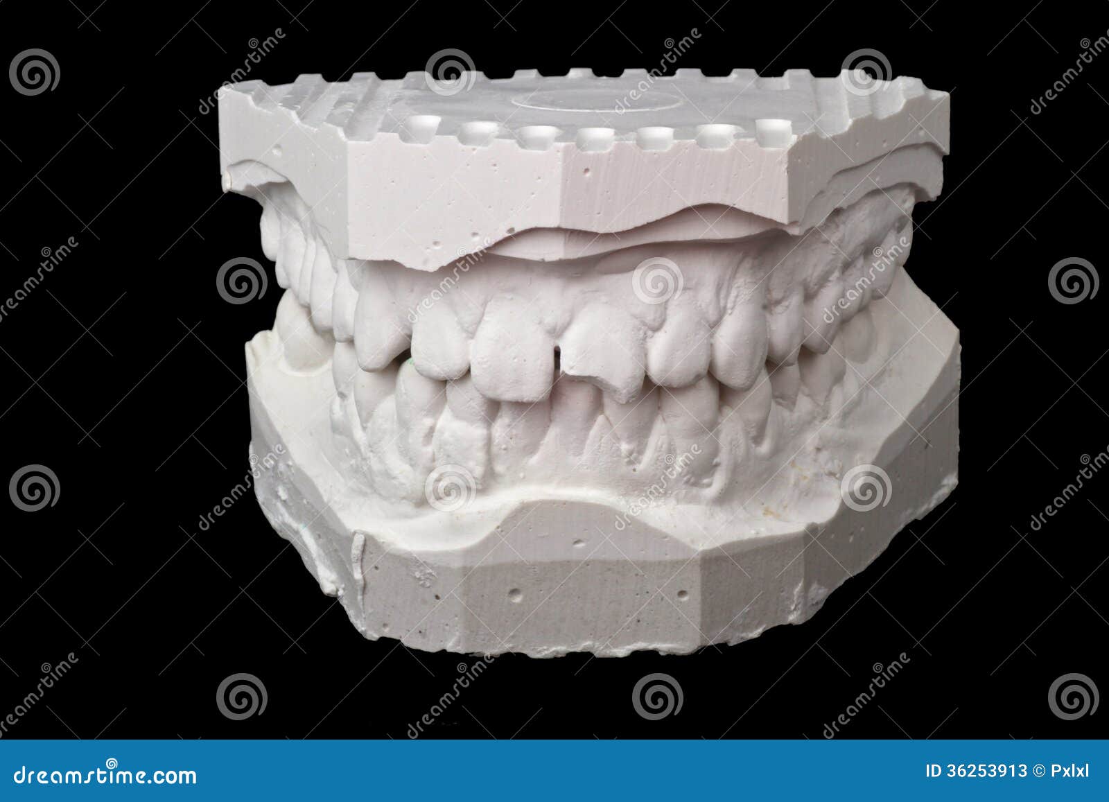 Dental Impression Chalk Model Stock Image Image of dentist, molars