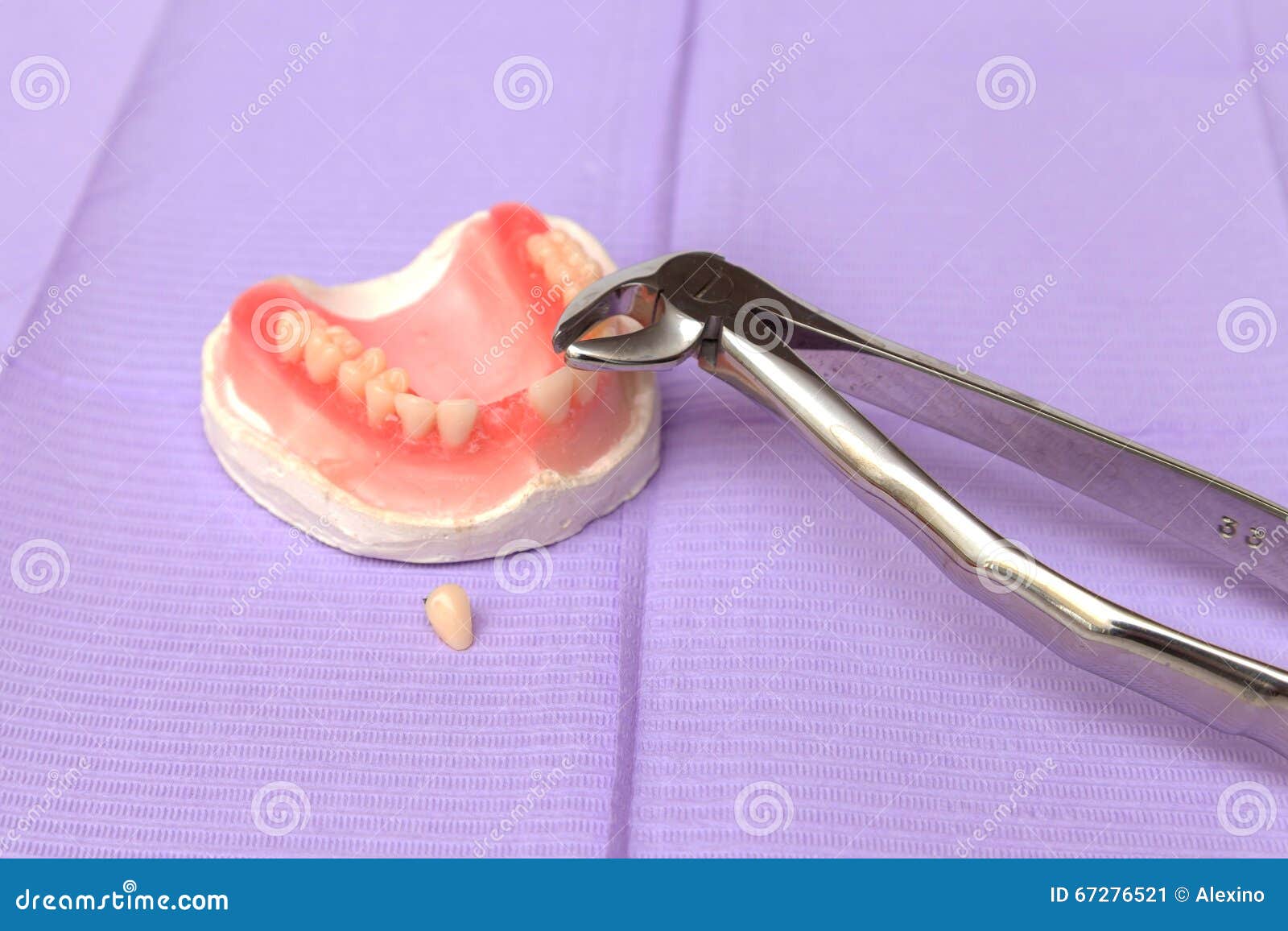 Dental Instruments. Dentures and Medical Tools and a Prosthesis Stock Image Image of accessory
