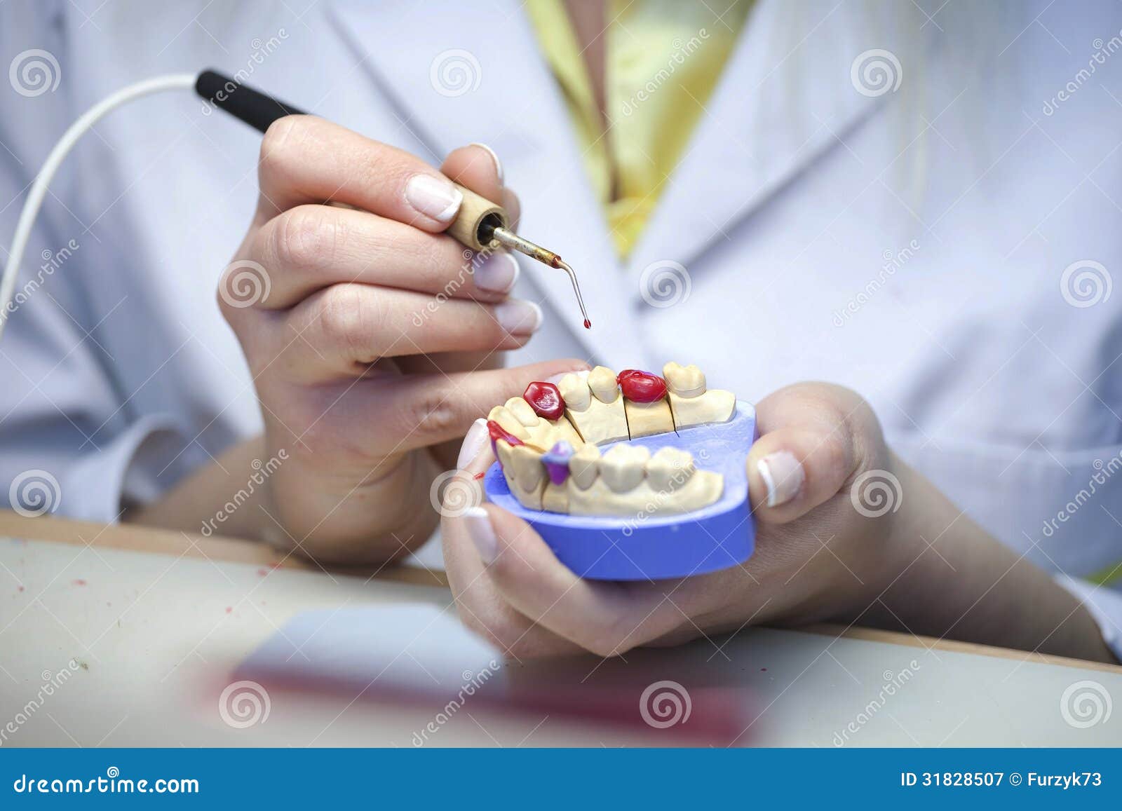 Dental Laboratory stock image. Image of craft, deontology 31828507
