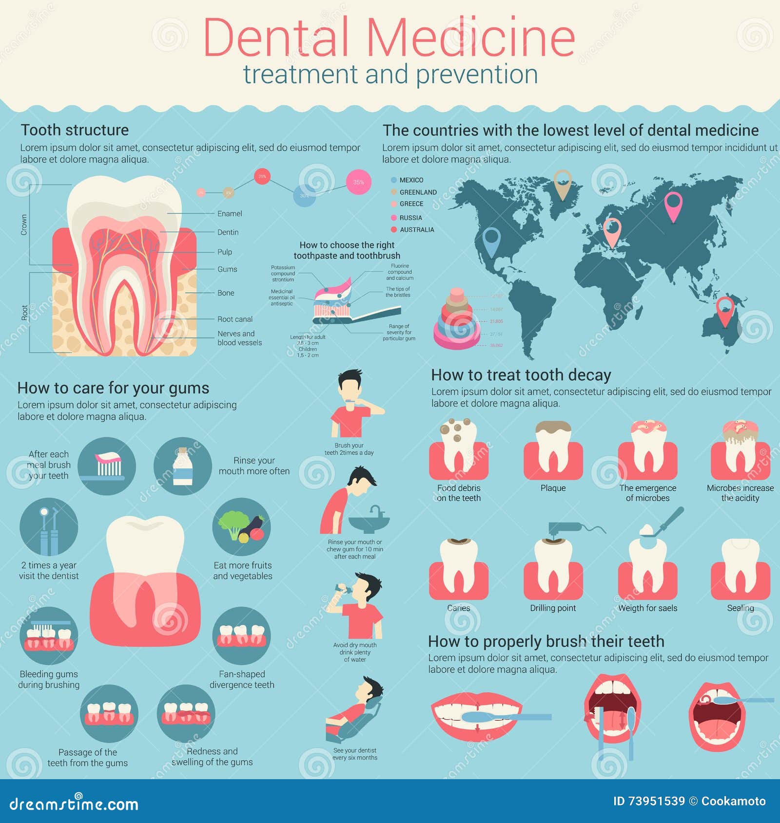 Teeth Layout Chart