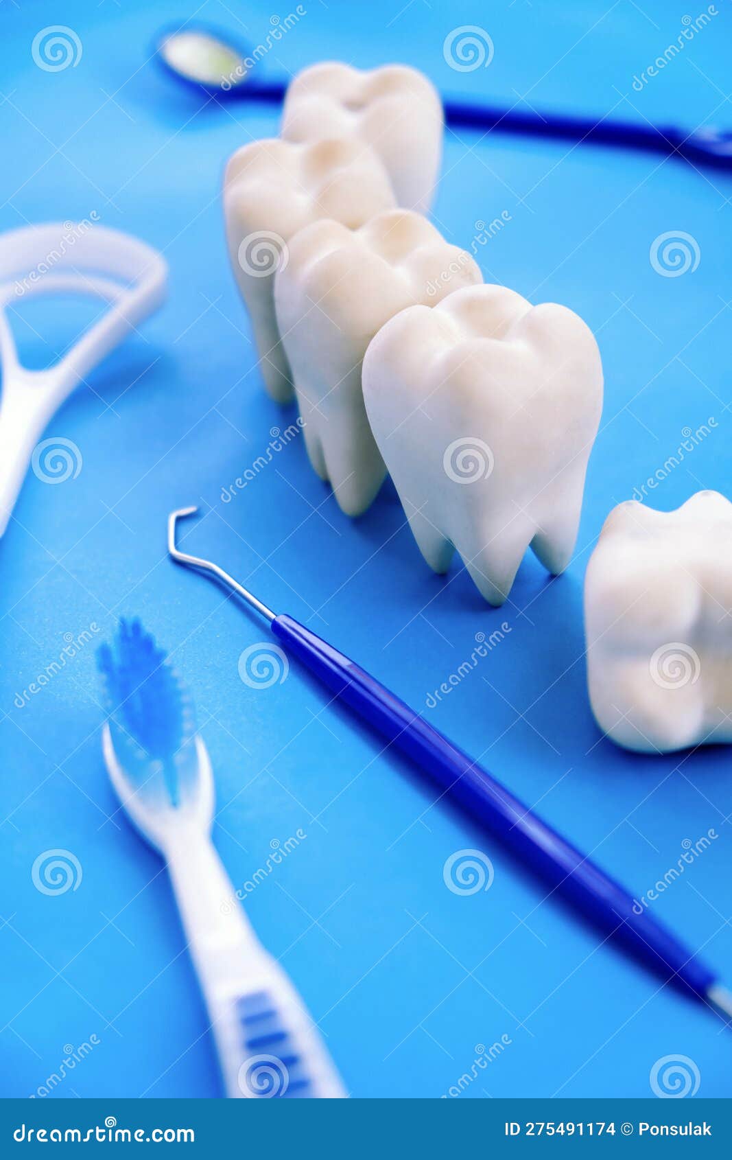 Dental Model and Dental Equipment on Blue Background Stock Photo