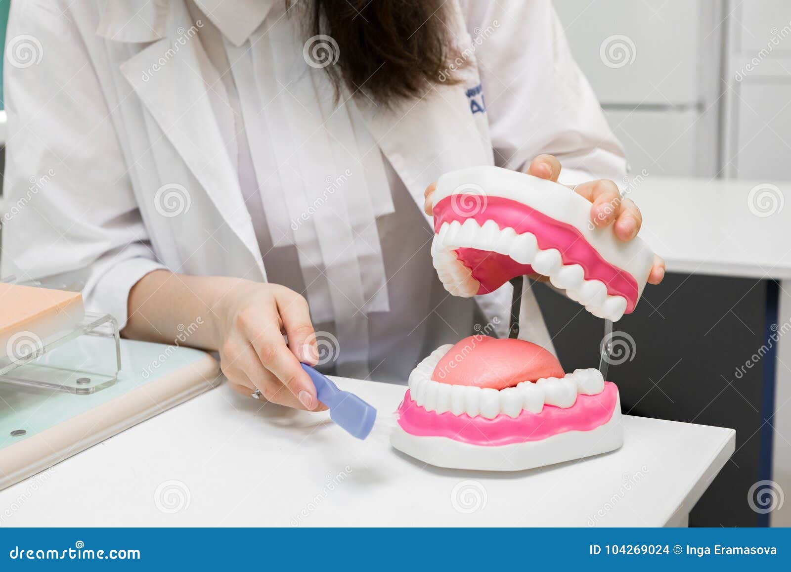 Dental Office. Dentist Brushes Teeth with Toothbrush Stock Photo