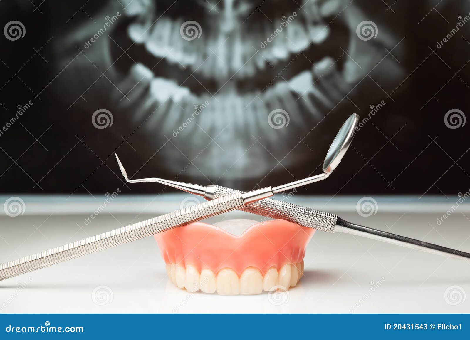 Dental pan xray. stock image. Image of film, care, root 20431543