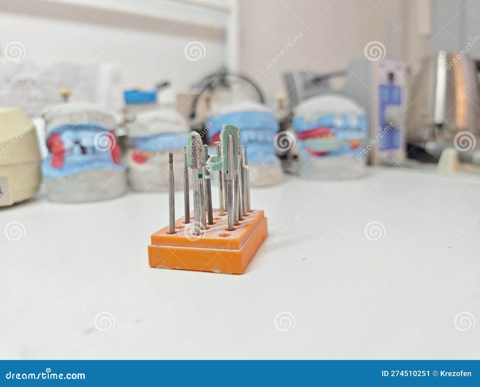 Dental Plaster Models with Denture Analogs in the Dental Laboratory