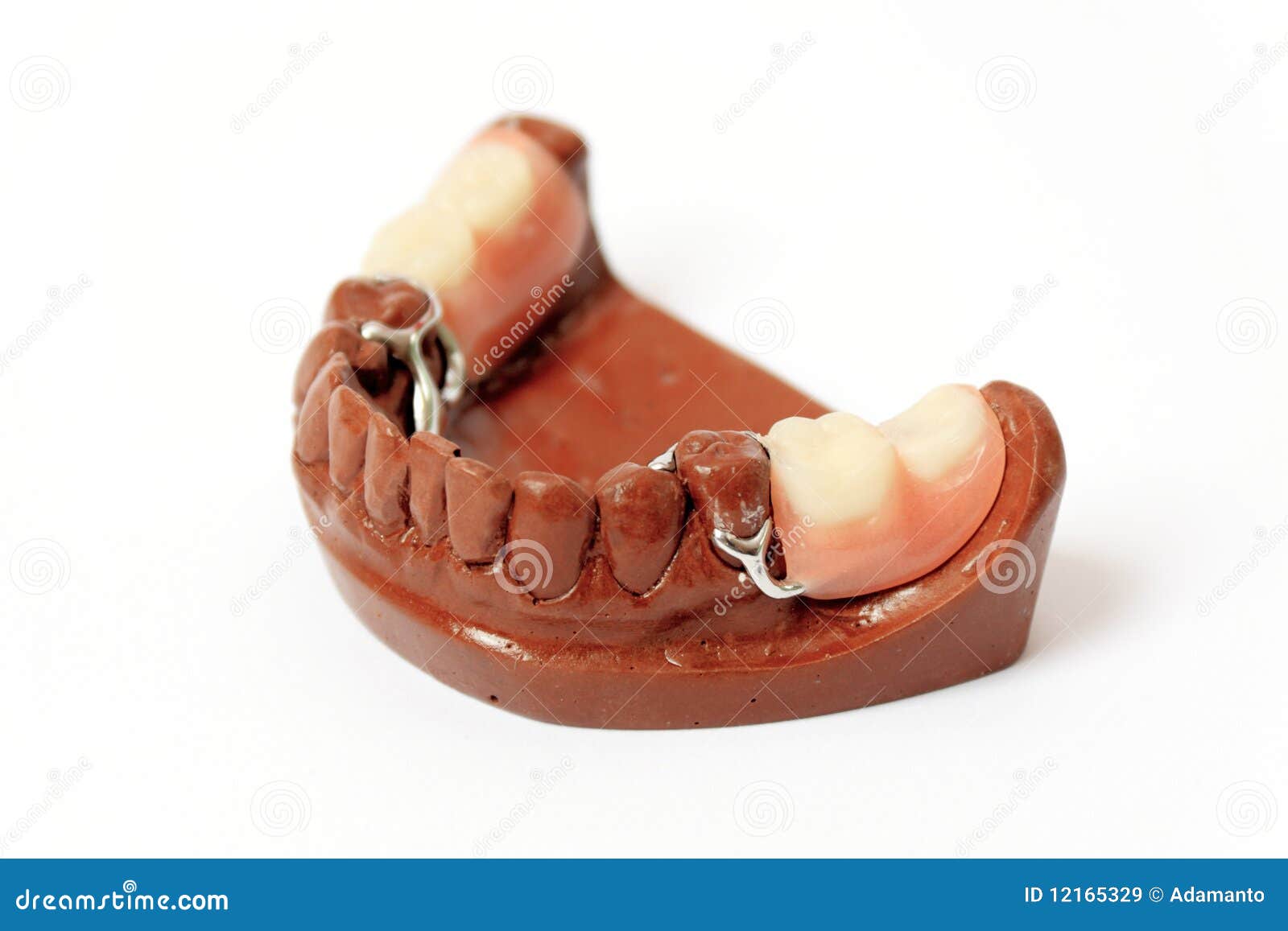 Dental Plaster Moulds, Dentures Stock Image Image of isolated, prothesis 12165329