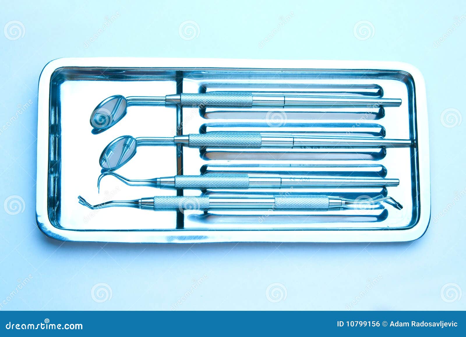 Dental Plate stock photo. Image of hygiene, diagnosis 10799156