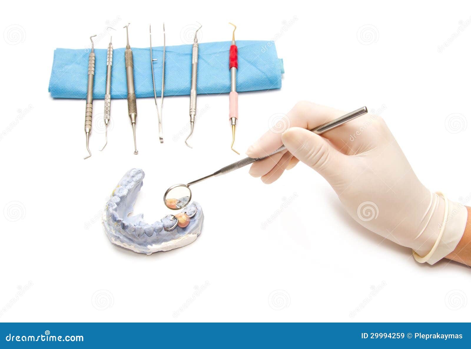 Dental Prosthesis with Dental Tool Stock Image Image of protective