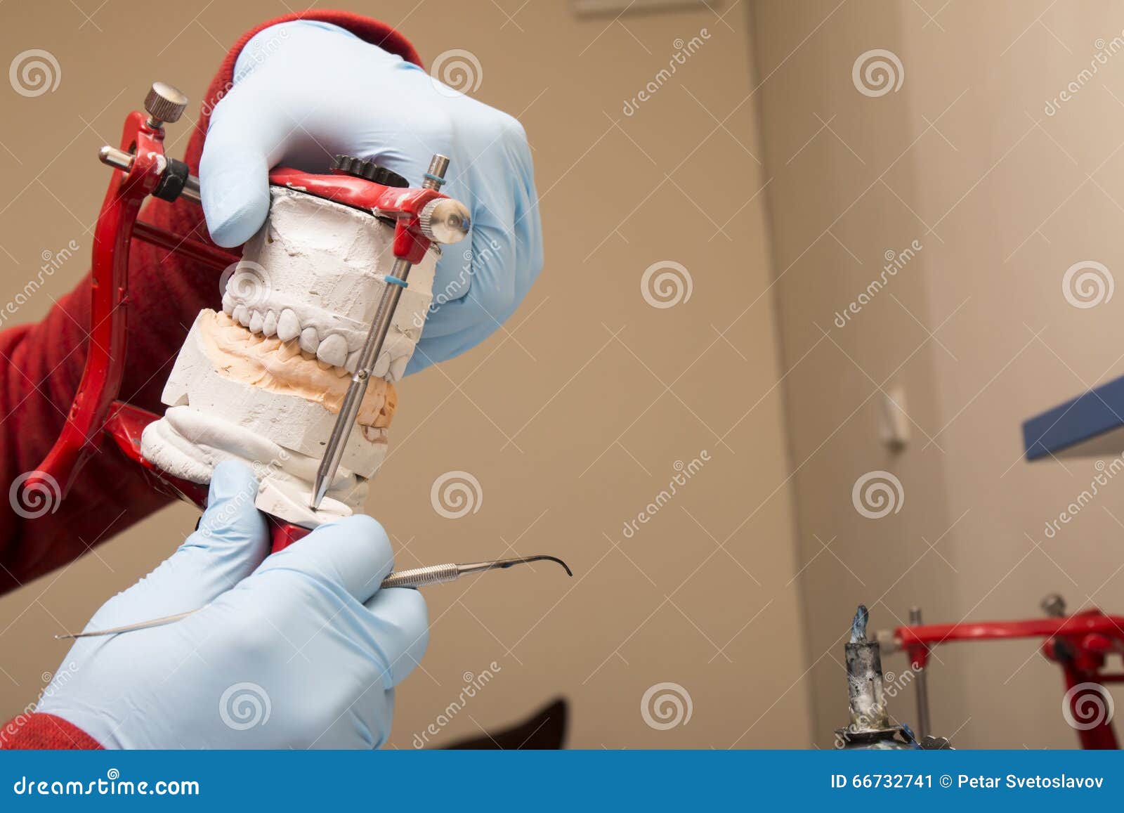 Dental Technician Showing Tooth Dentures Stock Image Image of