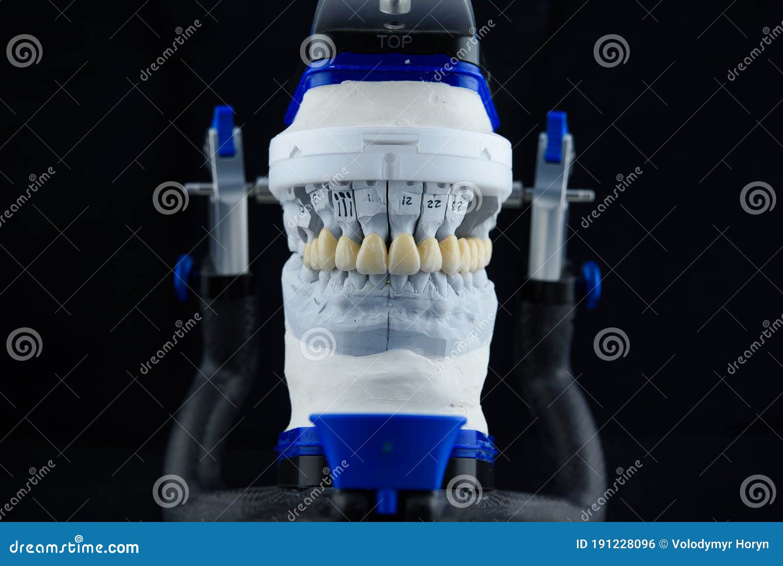 Dental Technician Working with Articulator in Dental Lab Stock Photo