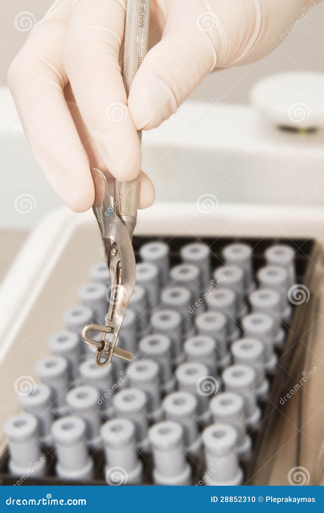 Dental Tool with Dentist Hand Stock Photo Image of hygiene, rubber