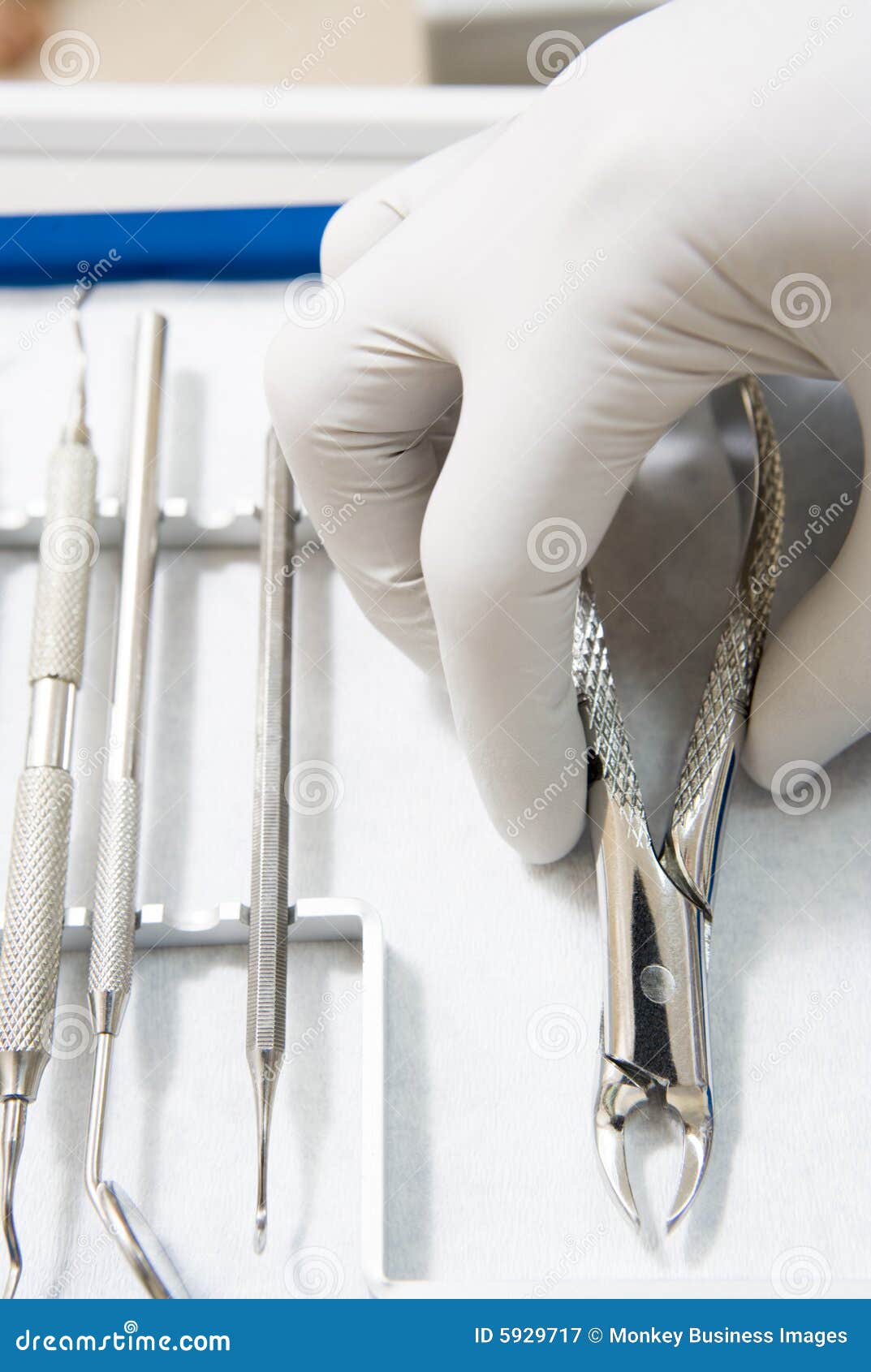 Dental Tools with a Gloved Hand Stock Image Image of vertical