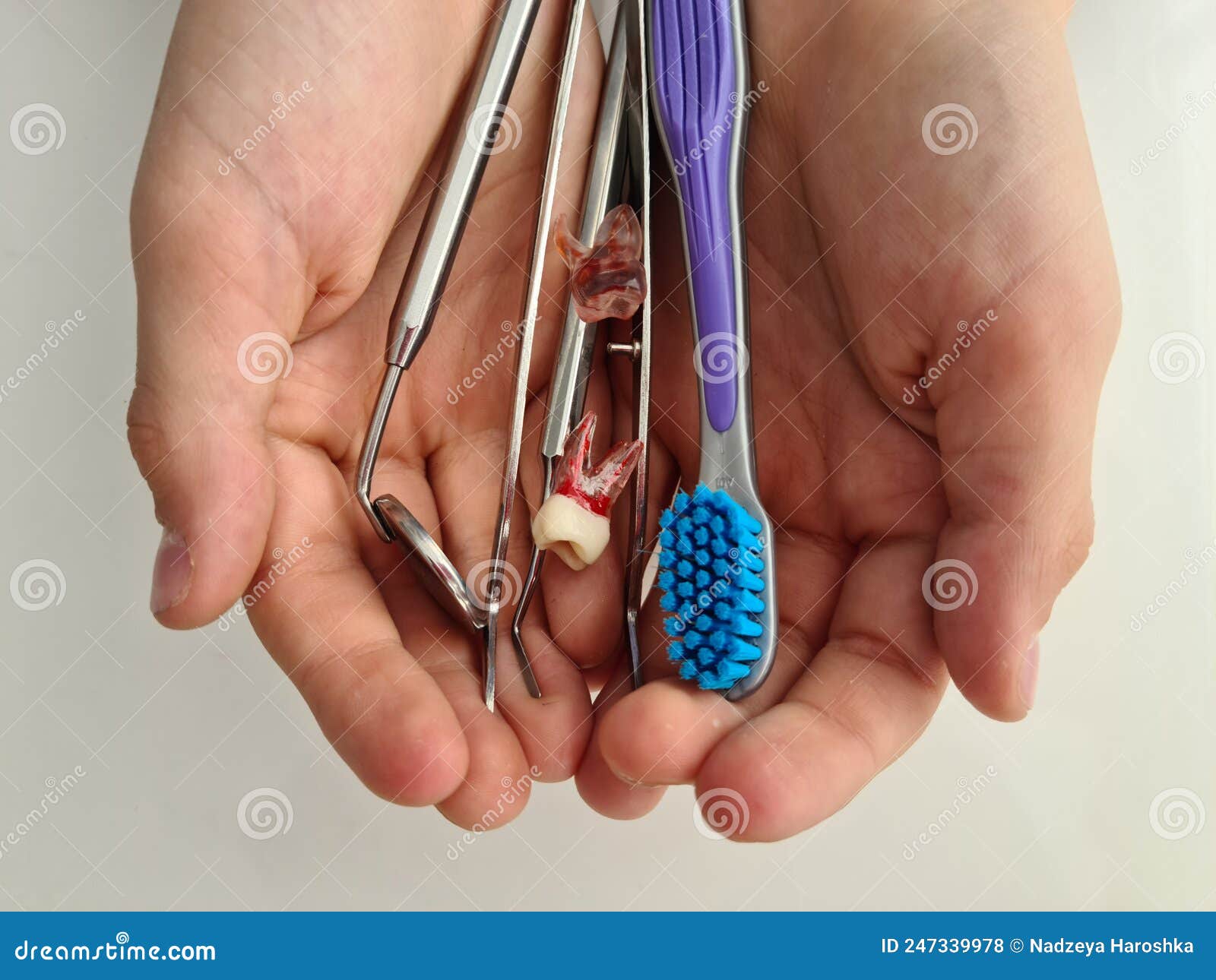 Dental Tools Dental Implants and Toothbrush in Children Hands. Children