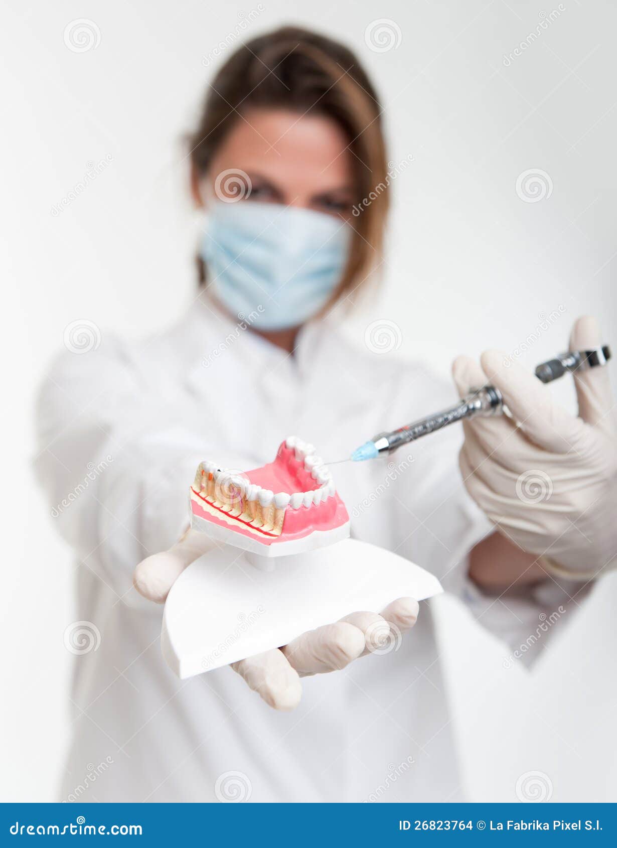 Dental Training Stock Images Image 26823764