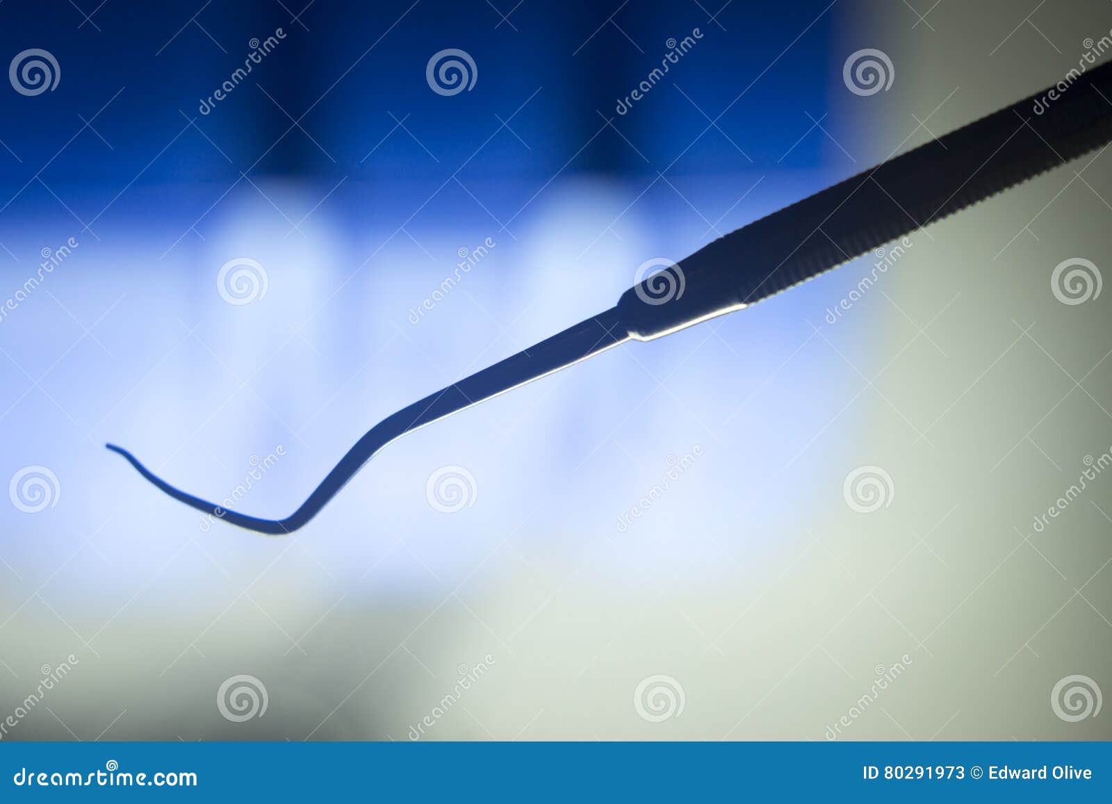 Dentist Dental Instrumentation Stock Image Image of titanium