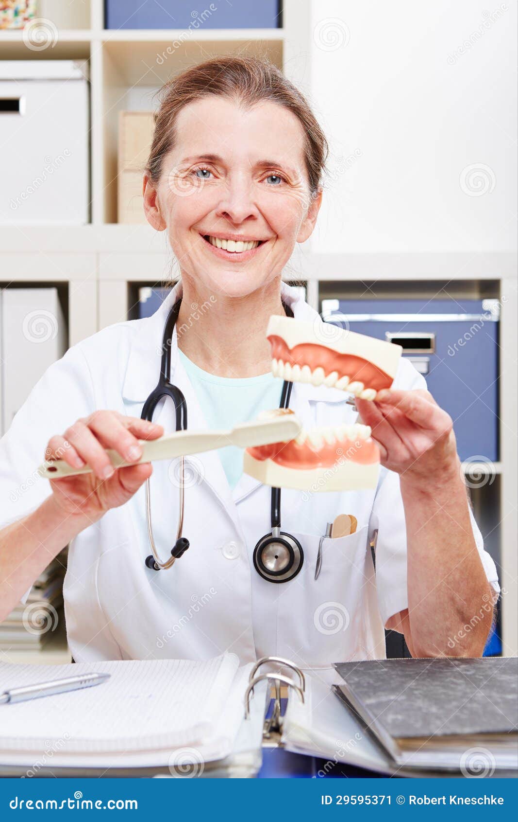 Dentist with dentures stock image. Image of laughing 29595371
