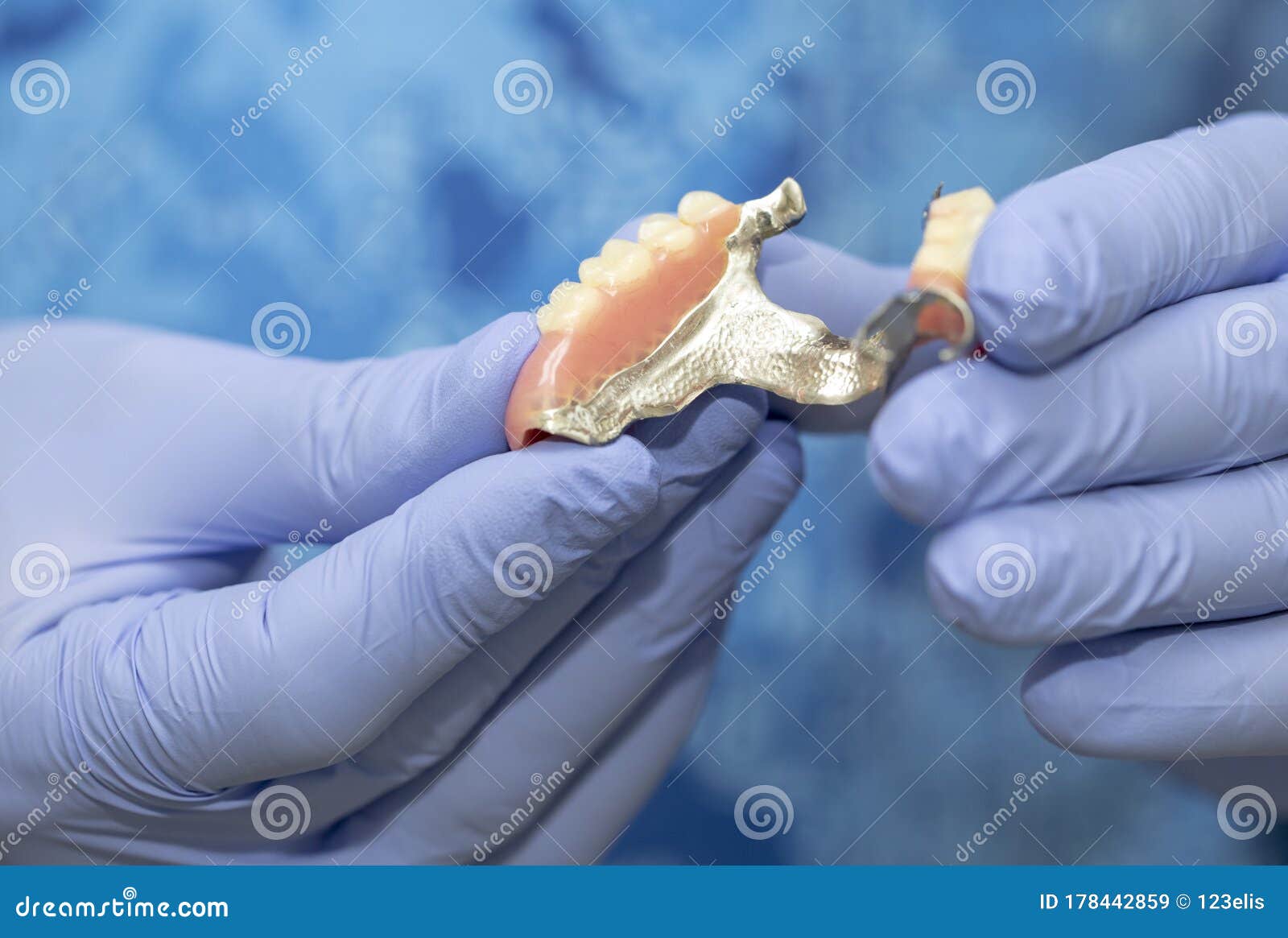 Dentist Hands Looking Denture Stock Image Image of reliable, model