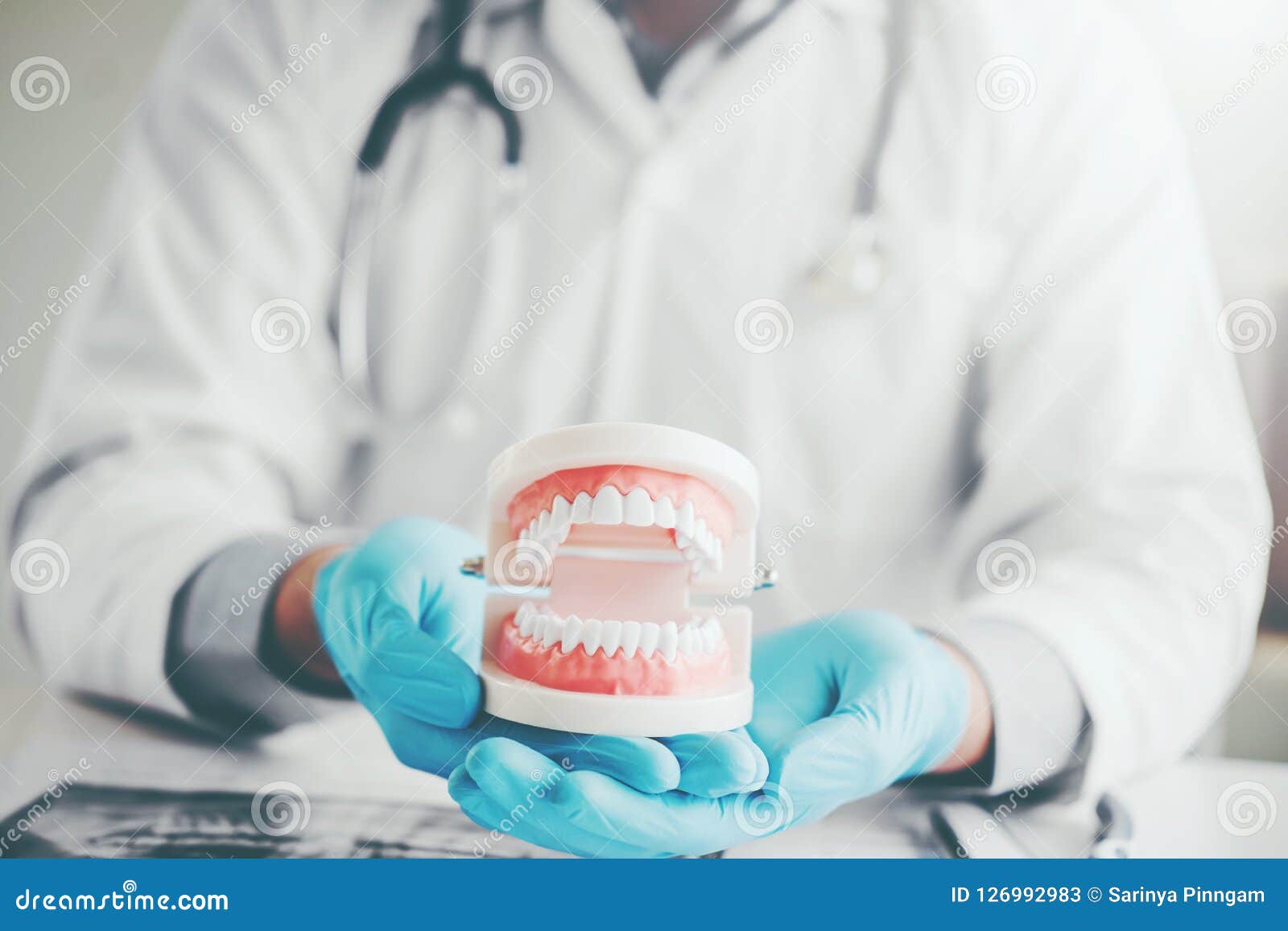 dentist holding a denture learning how to teeth at dentistÃâs of