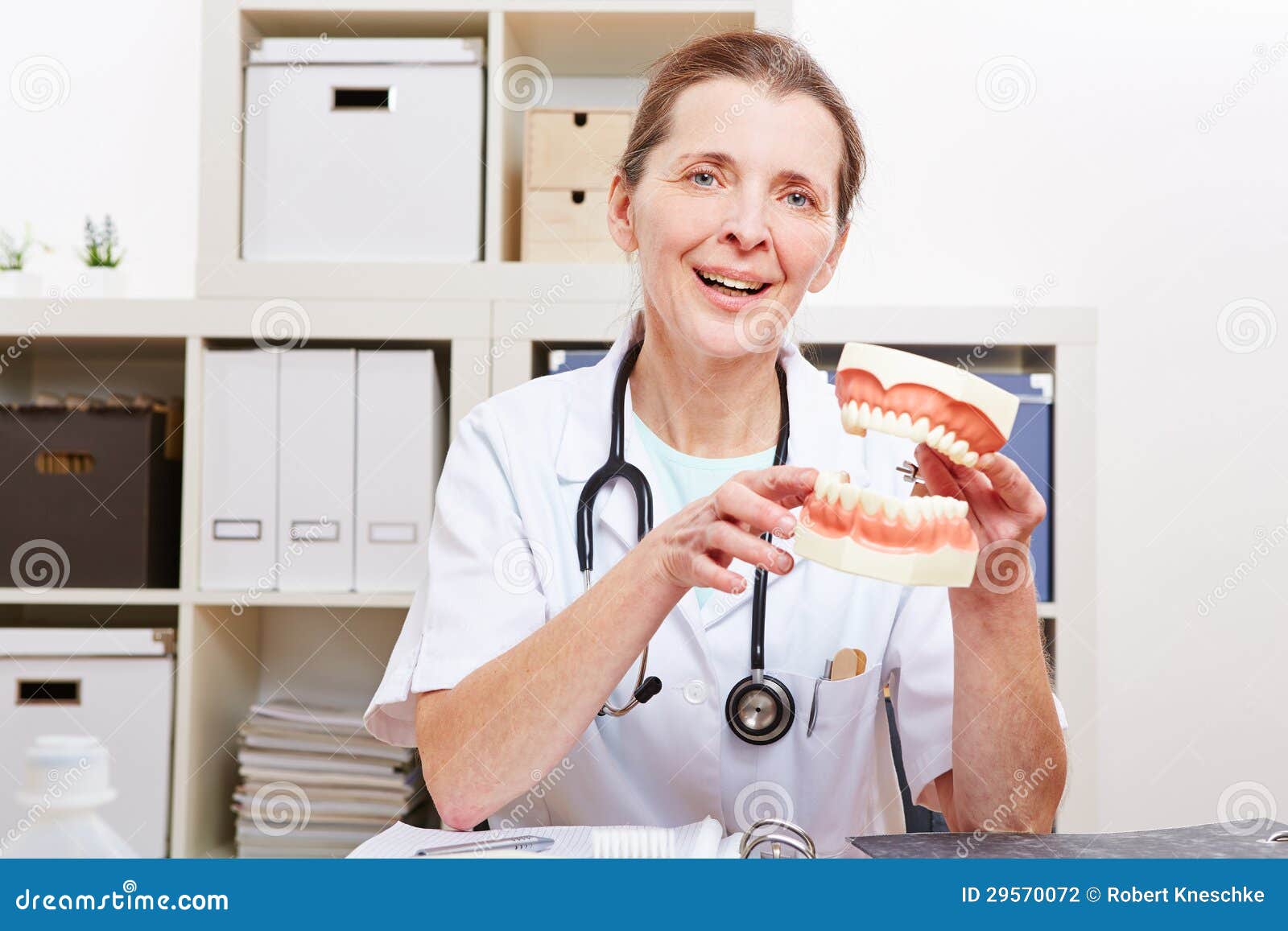 Dentist with Oversized Dentures in Office Stock Photo Image of model