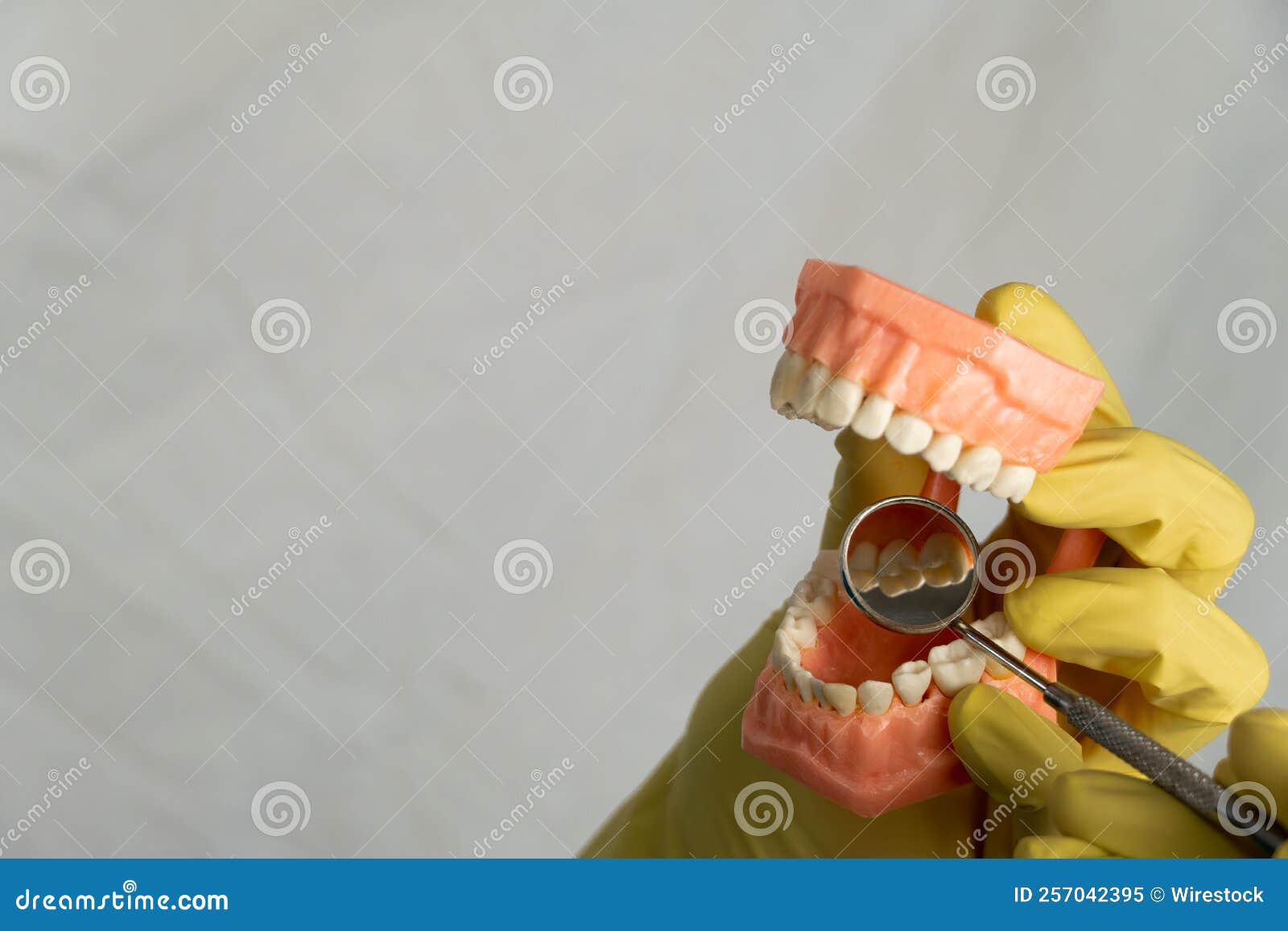 Dentist Practicing on a Model of Prosthetic Teeth with a Dental Mirror