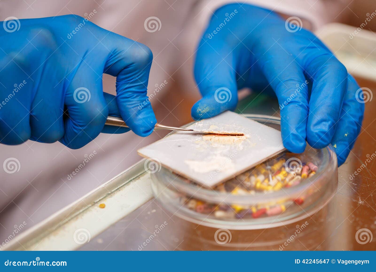 Dentist Prepares Solution for Seals Stock Image Image of glove