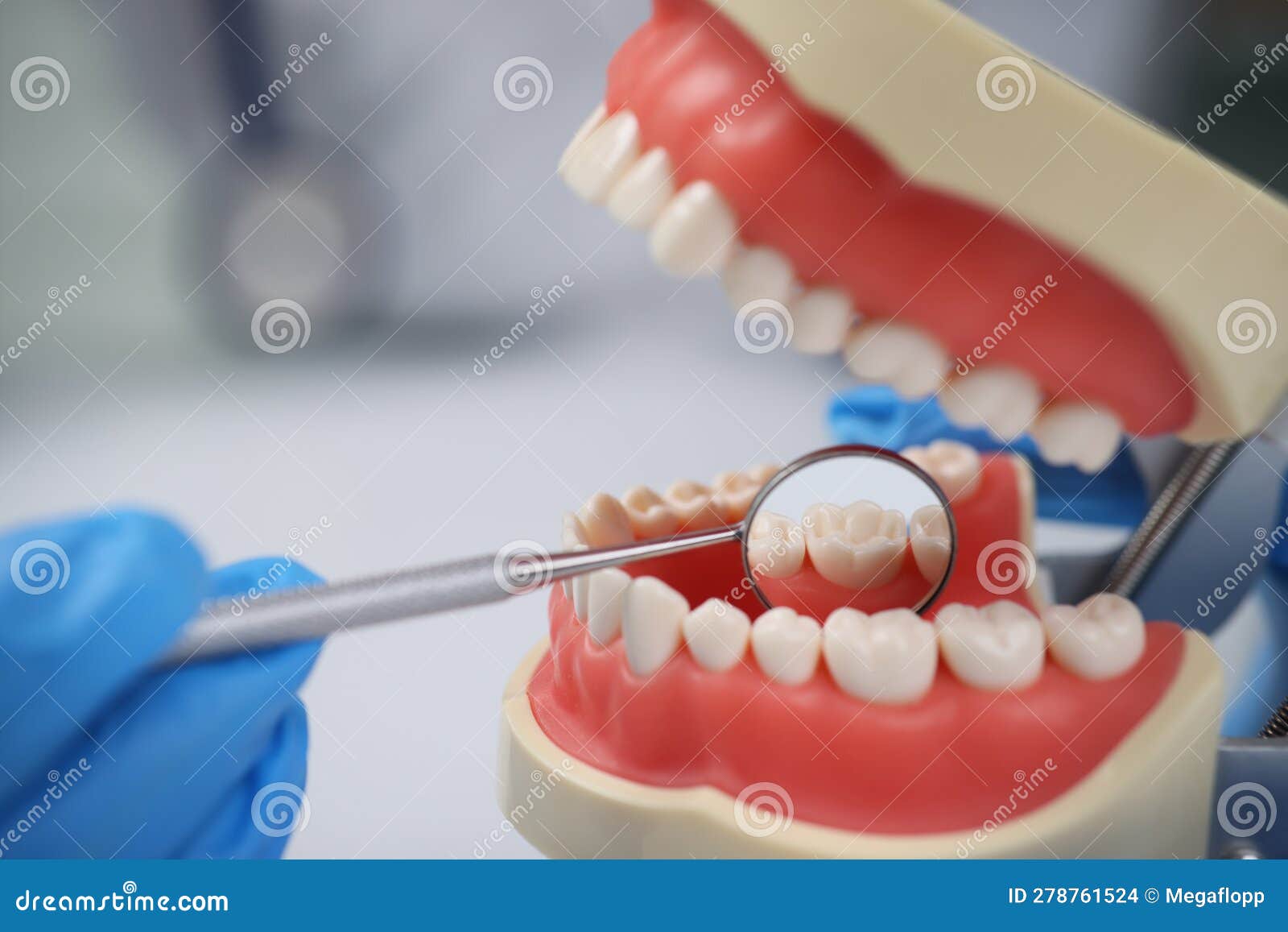 Dentist Using Mouth Mirror Inspects Teeth Back Side on Model Stock