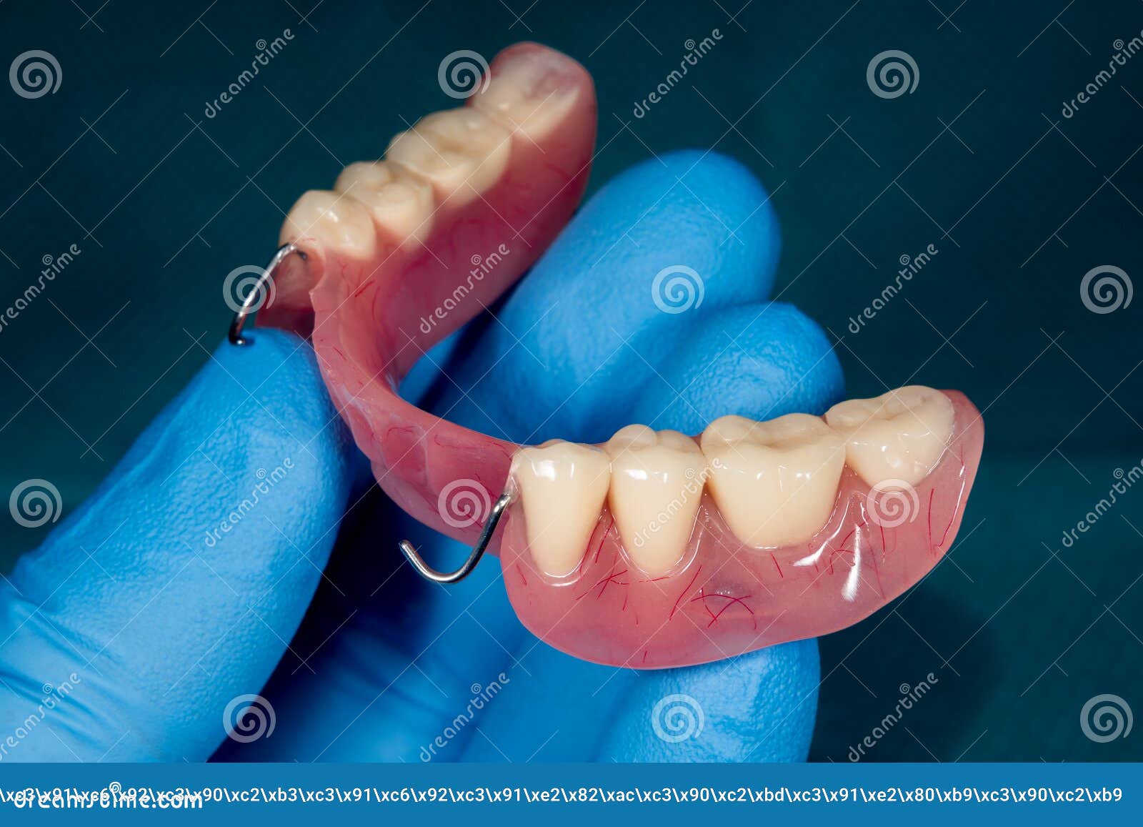 denture. partial removable denture of the lower jaw of a person with white beautiful teeth in the hand of a dentist. aesthetic