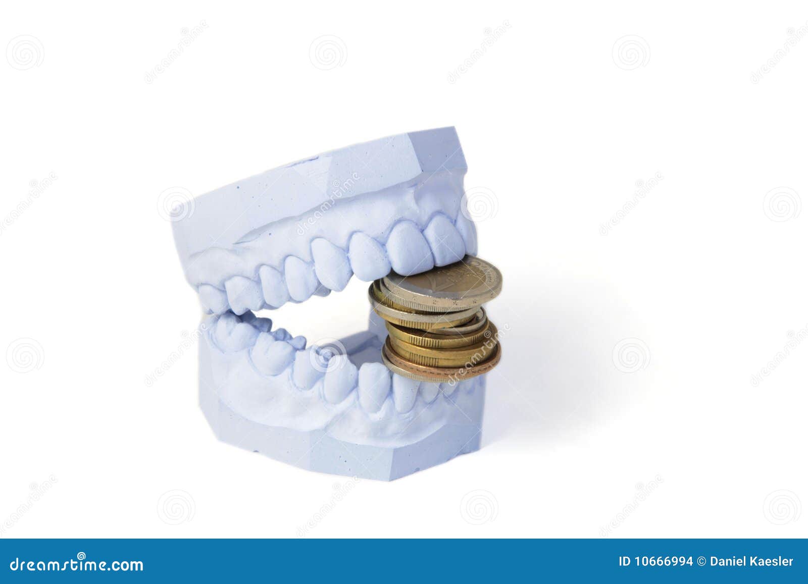 Dentures cost stock photo. Image of ivories, plaster 10666994