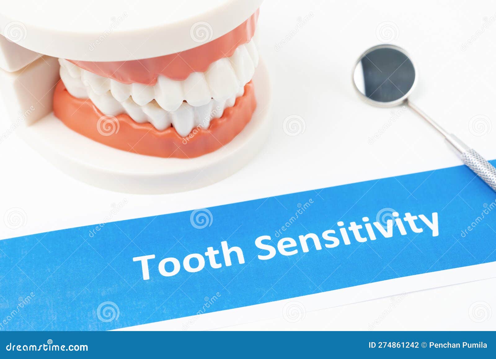 The Dentures Model with Tooth Sensitivity Dental Disease on White