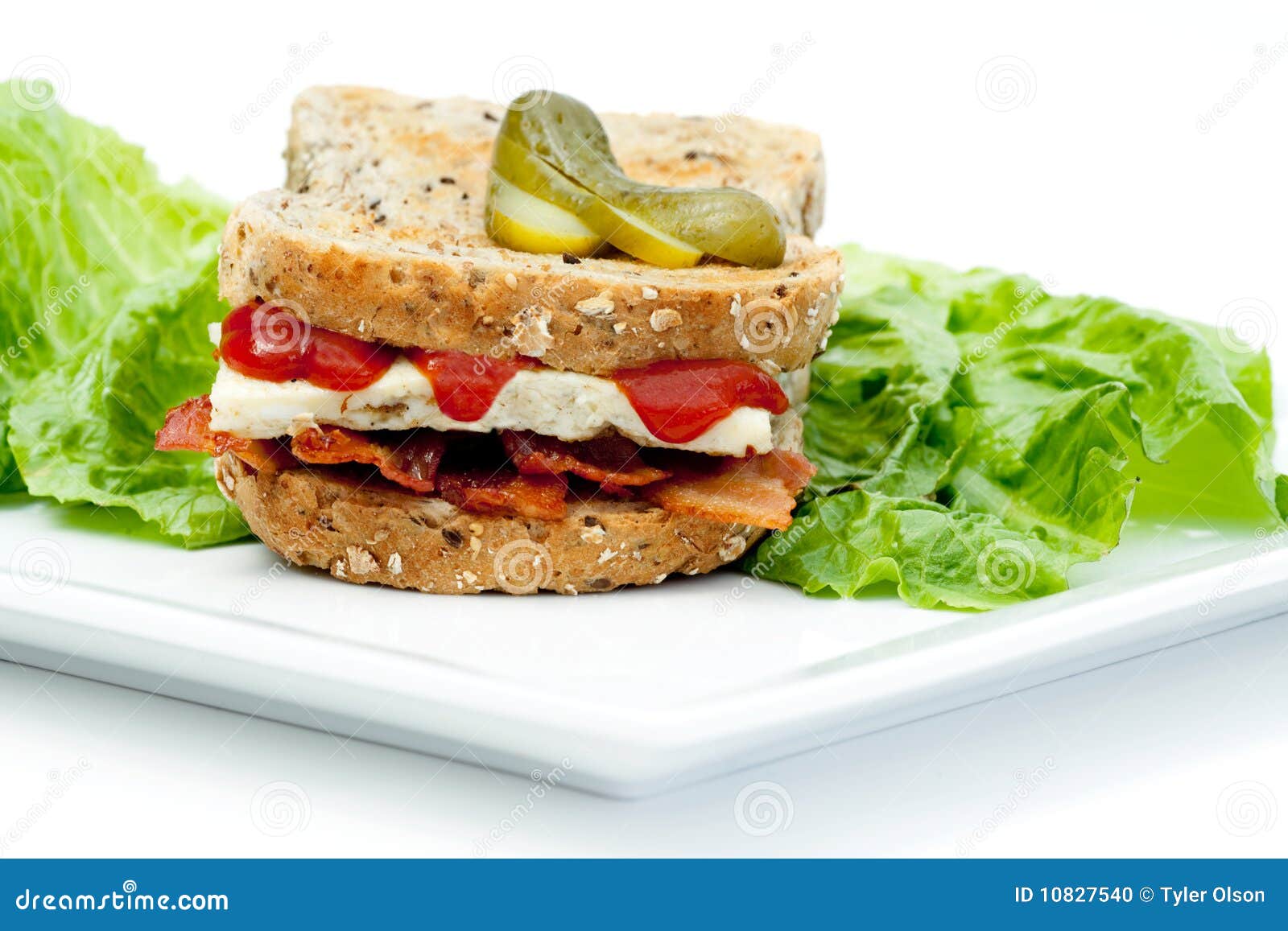 Denver Sandwich stock photo. Image of club, omelette 10827540