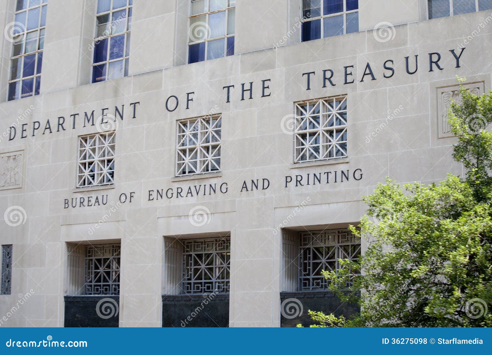 department of the treasury