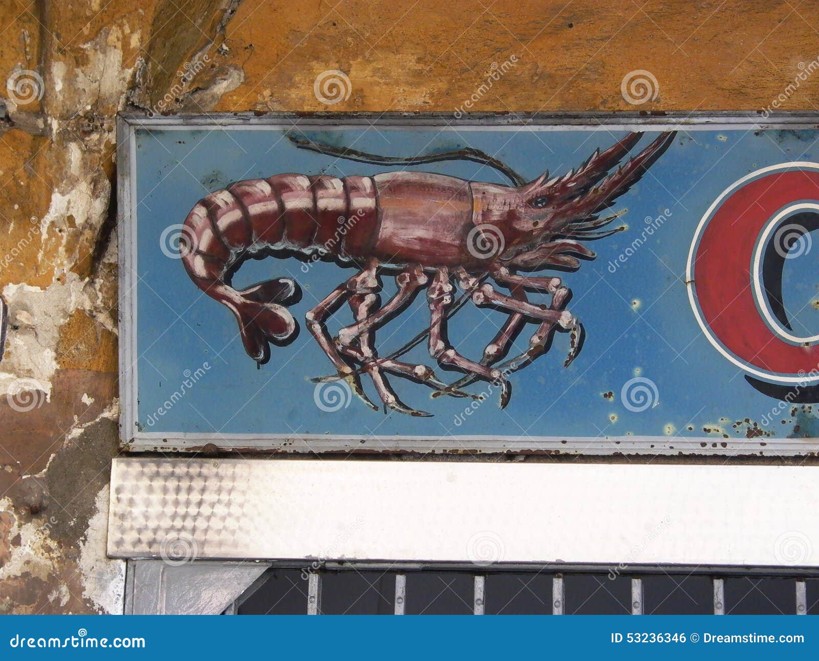 Painted Crayfish Or Rock Lobster, Lat. Panulirus Versicolor Crustaceans