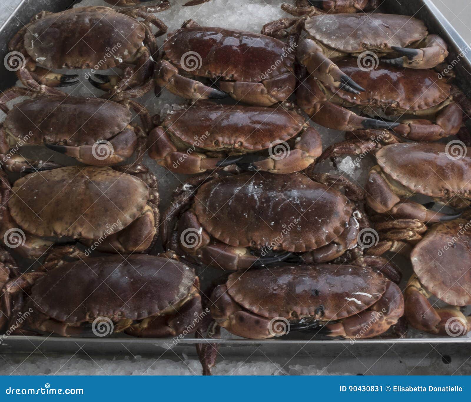 Deposit of Crab on Fish Market Stall Stock Image Image of market